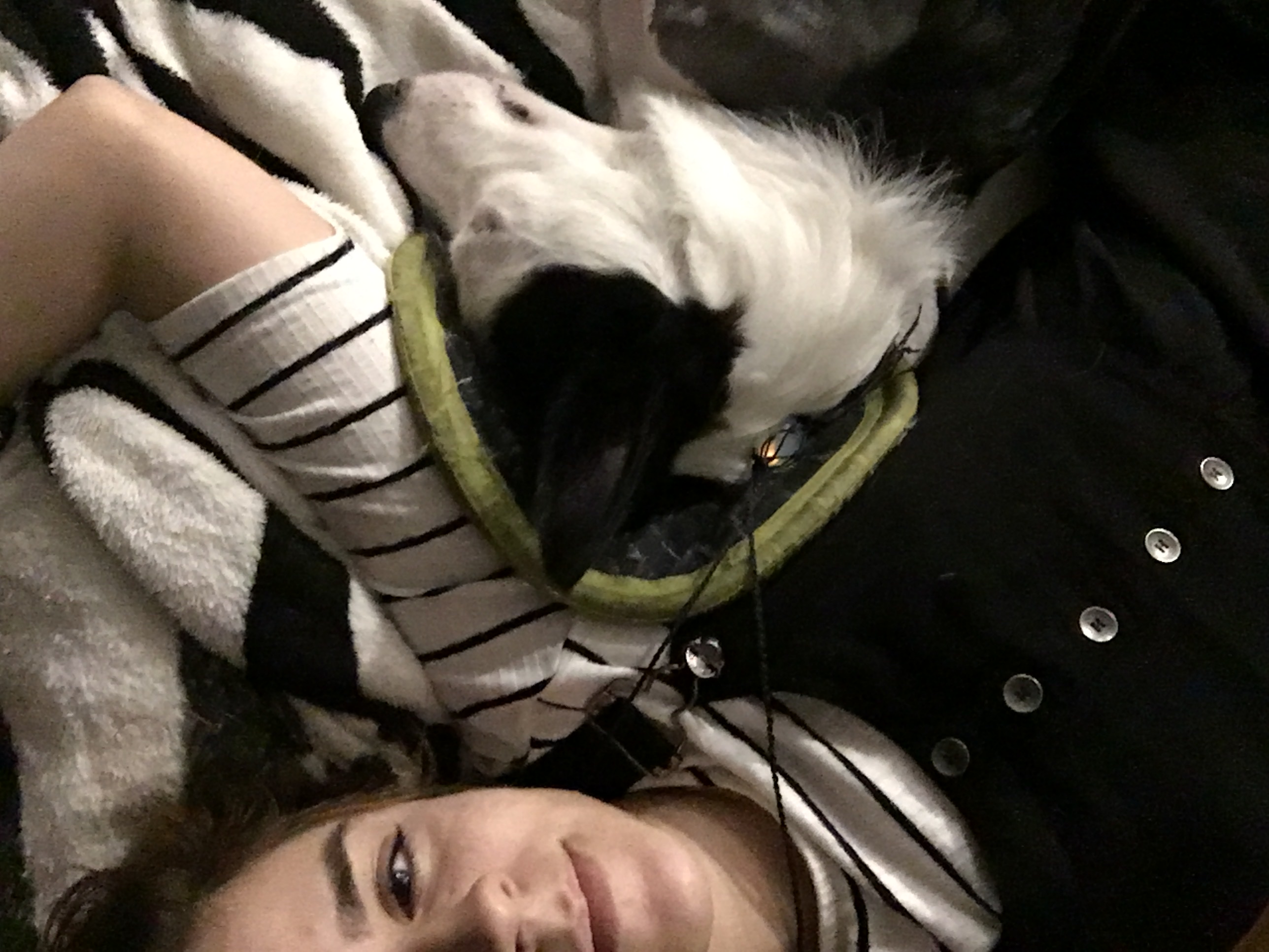image-3