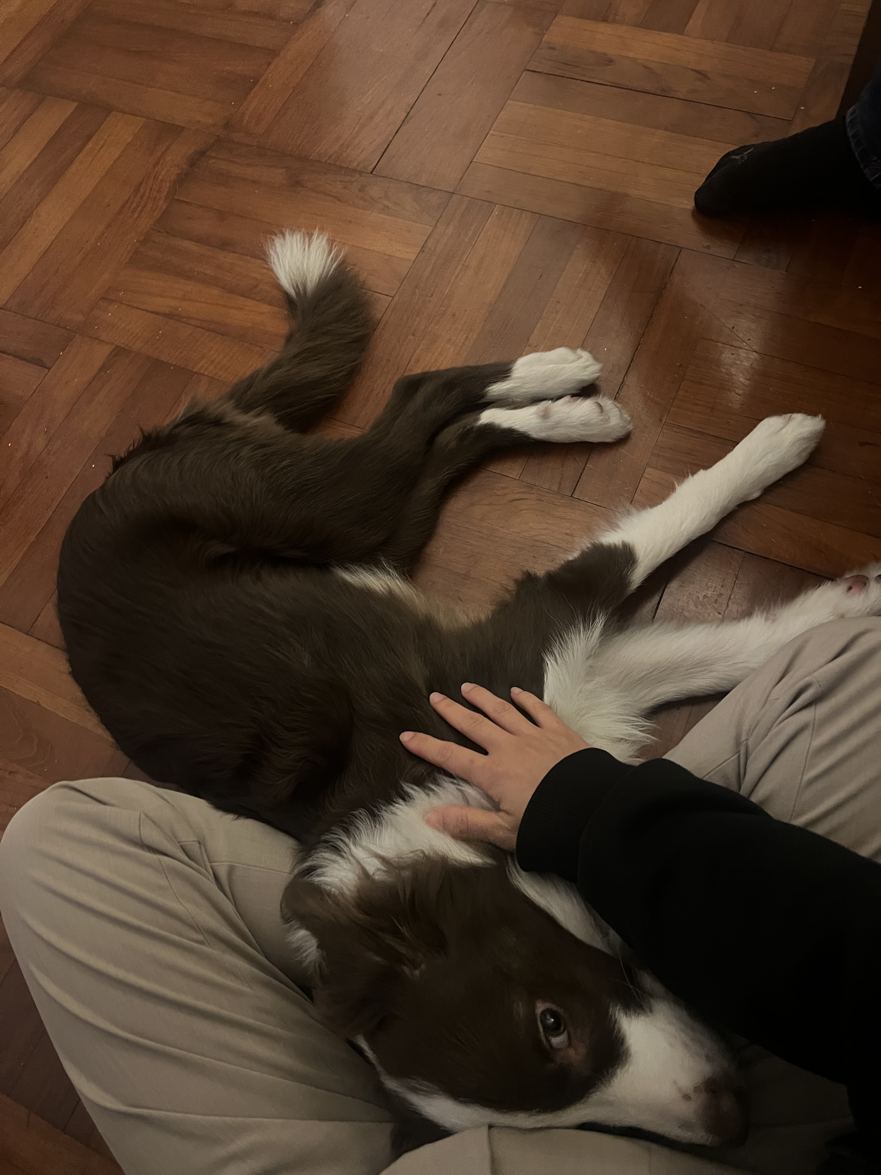 image-9