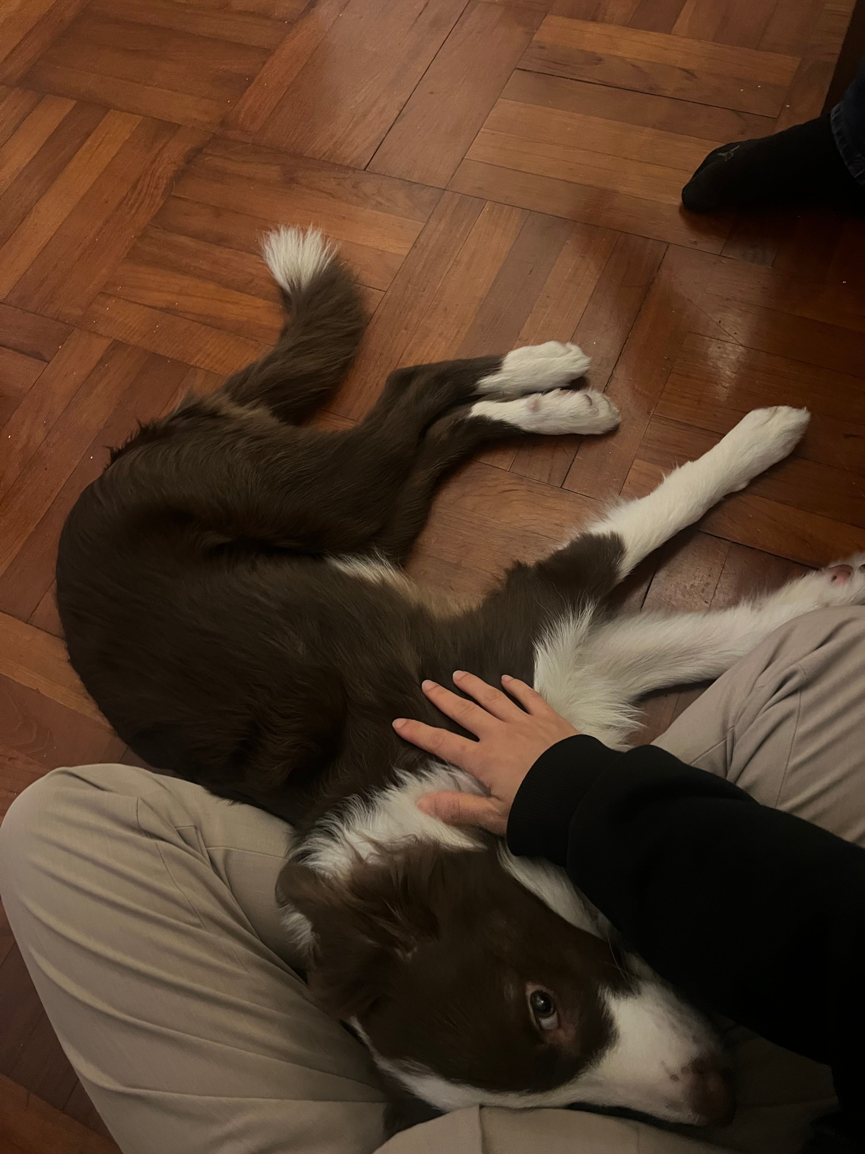 image-9