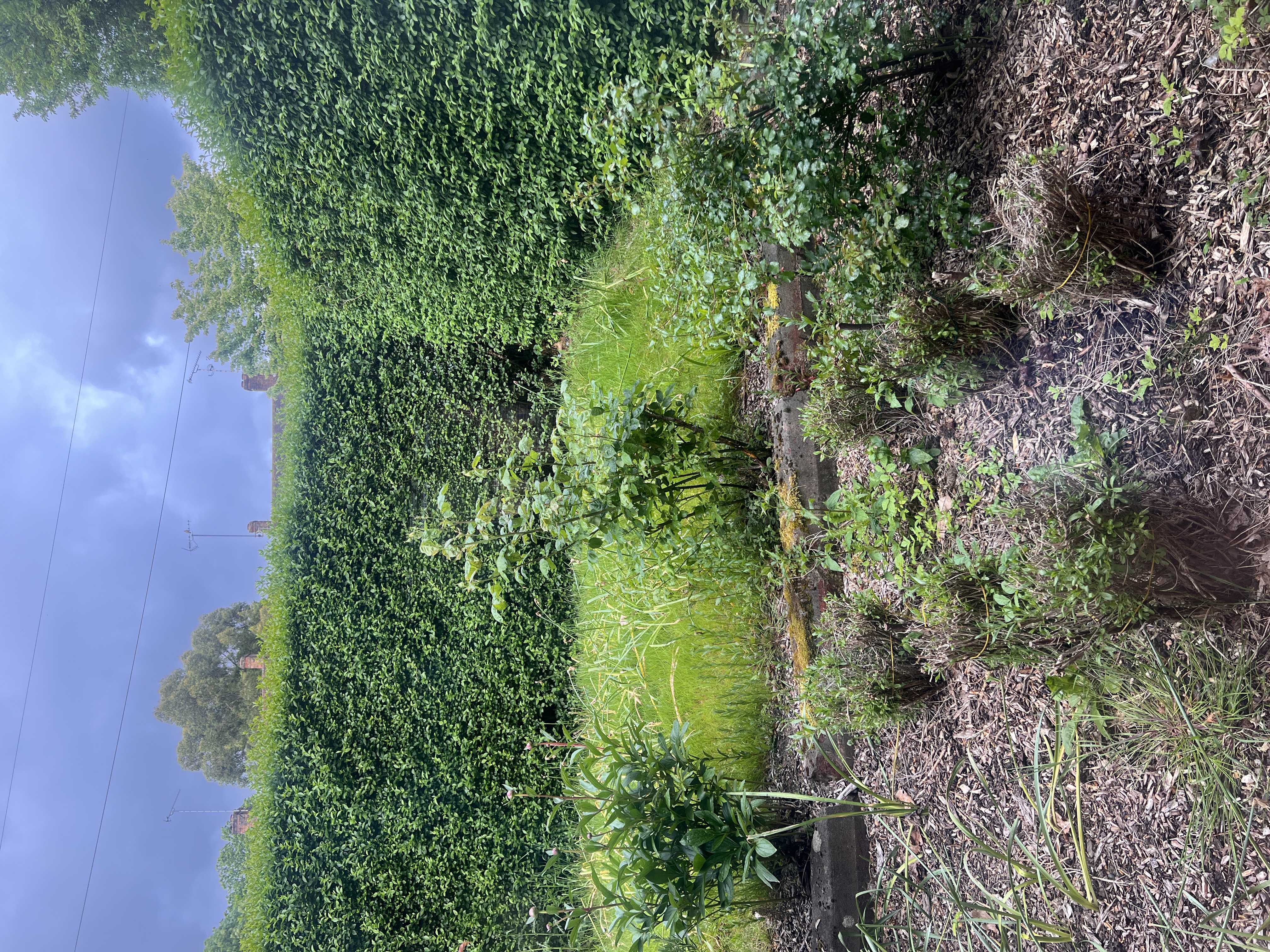 image-20