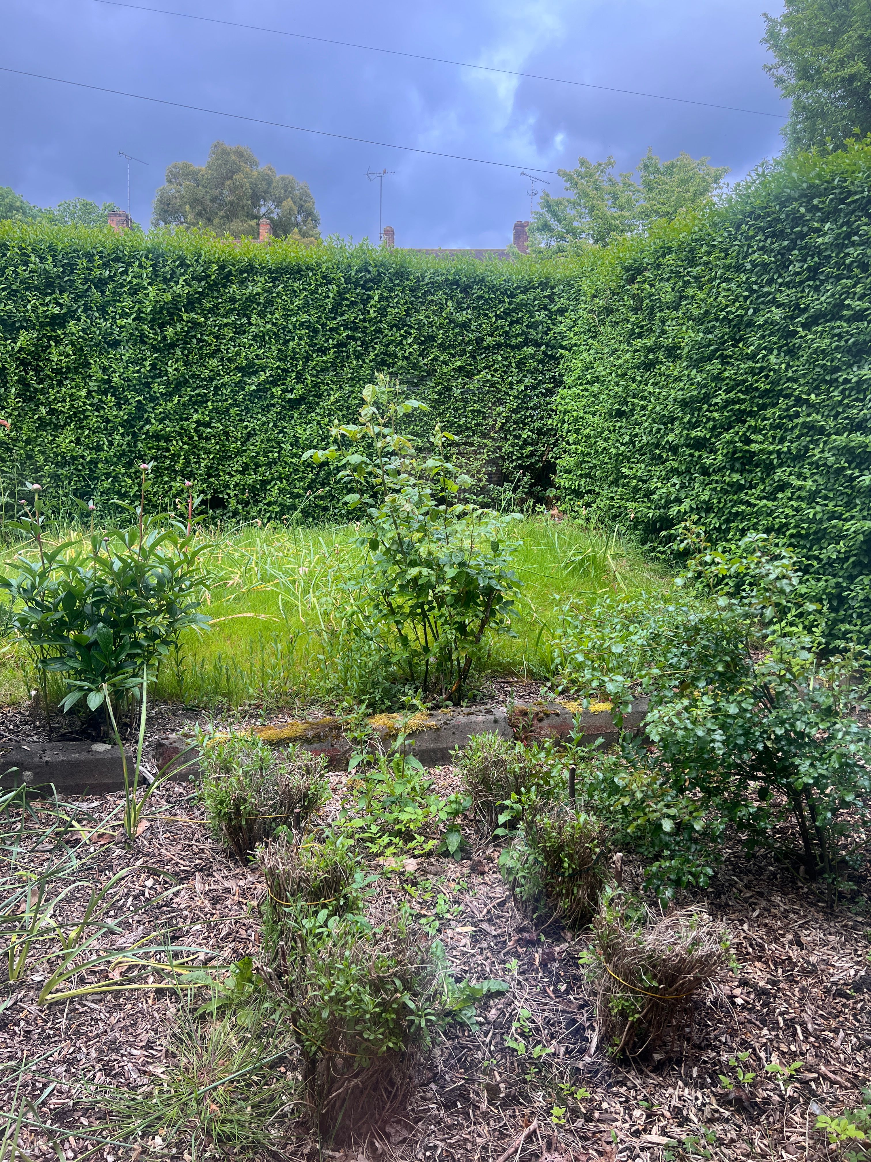 image-20