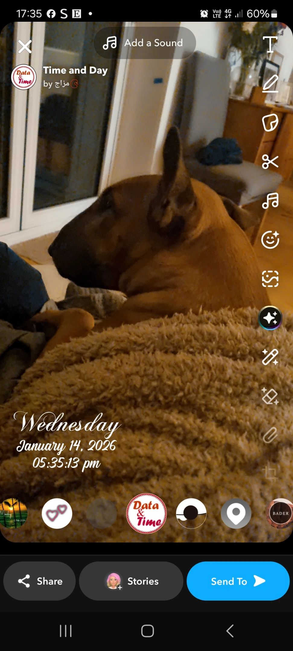 image-5