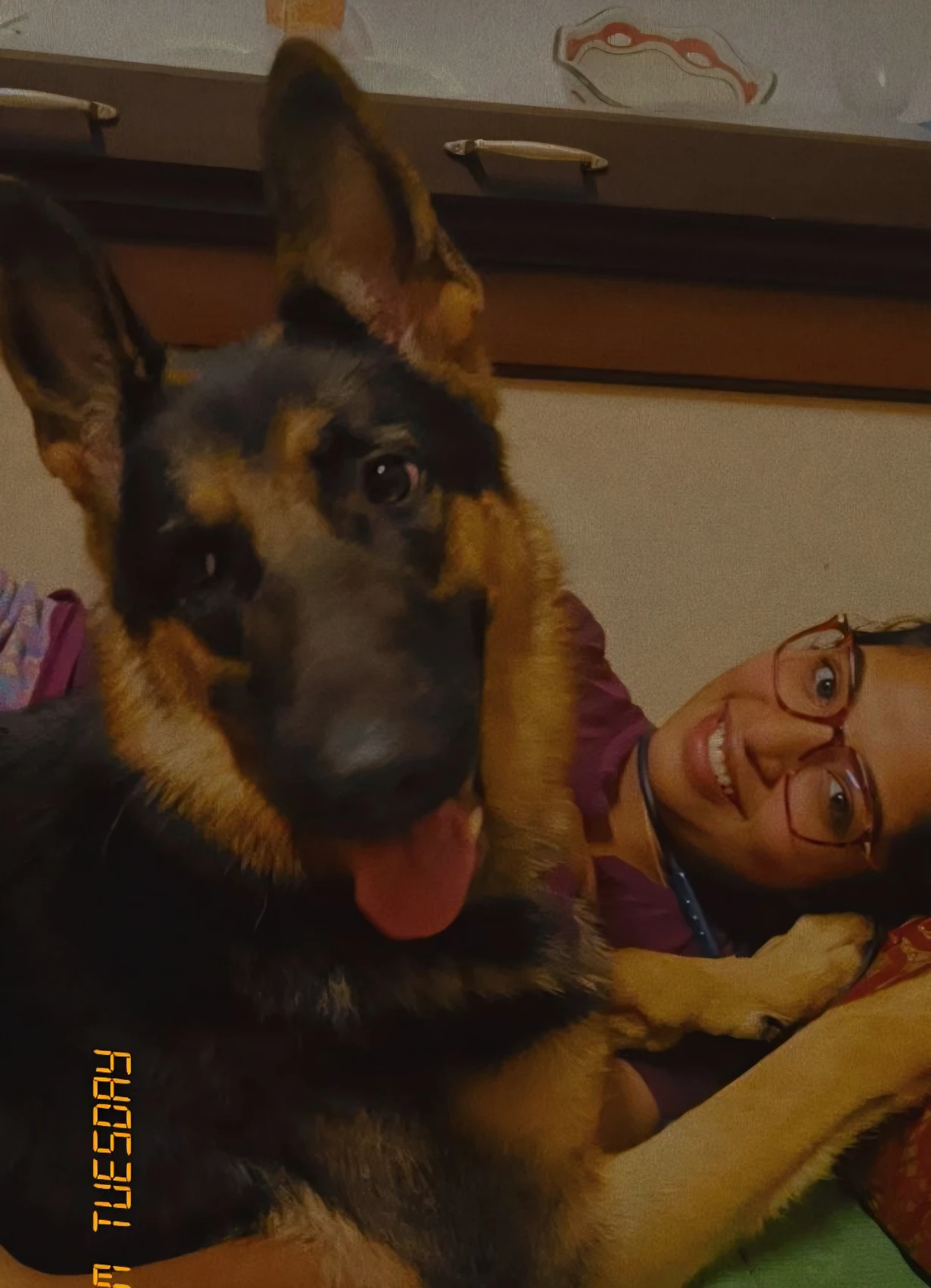 image-3