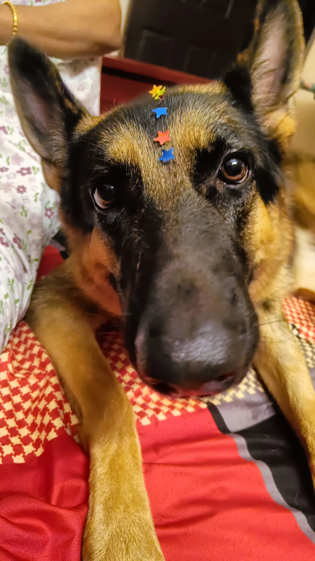 image-6