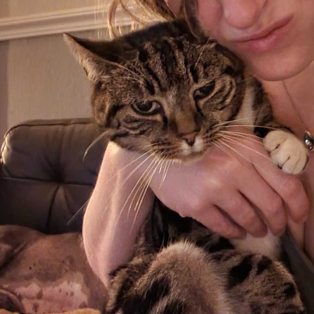 Keira aka Feline Queen