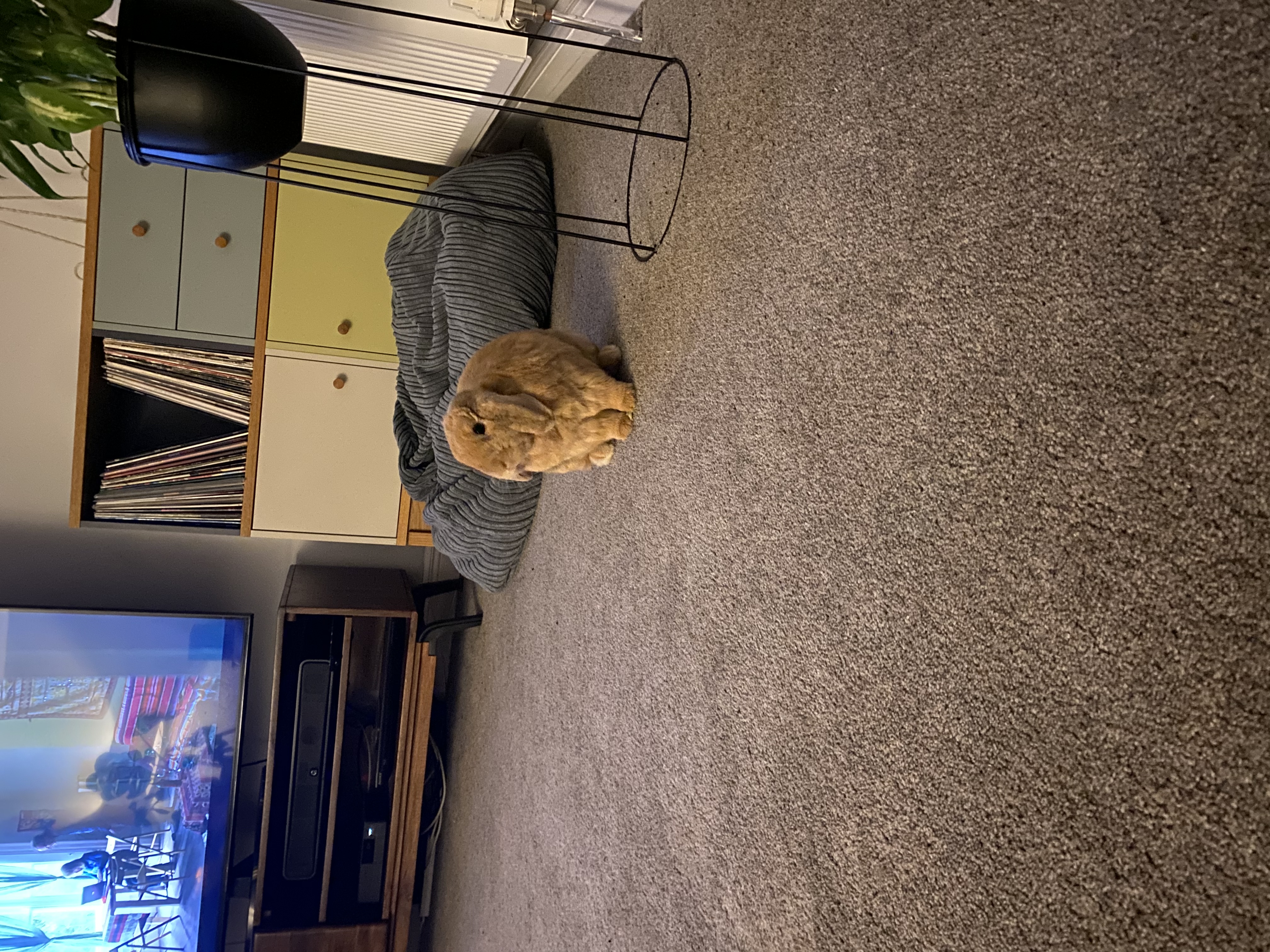 image-10