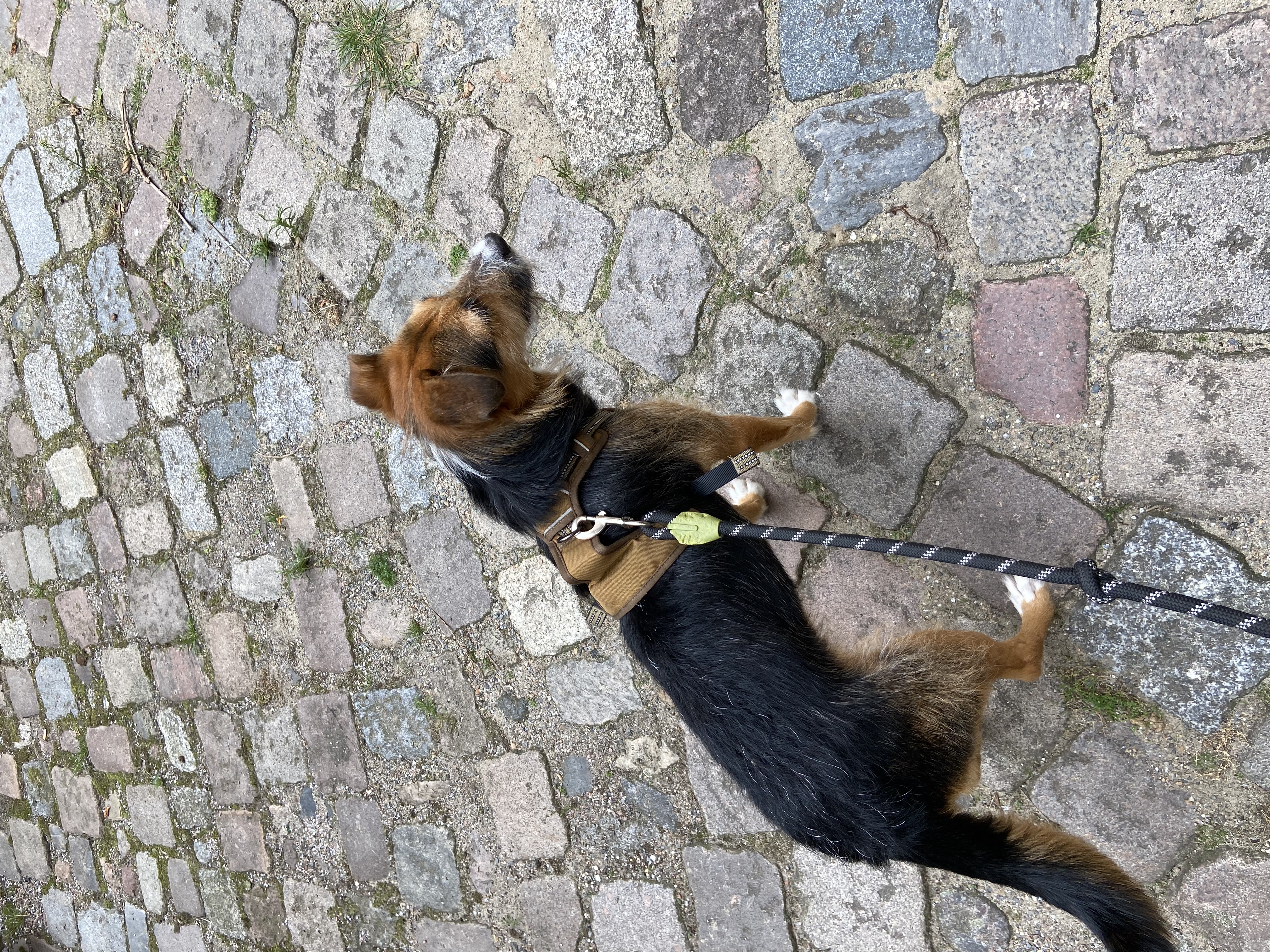 image-13