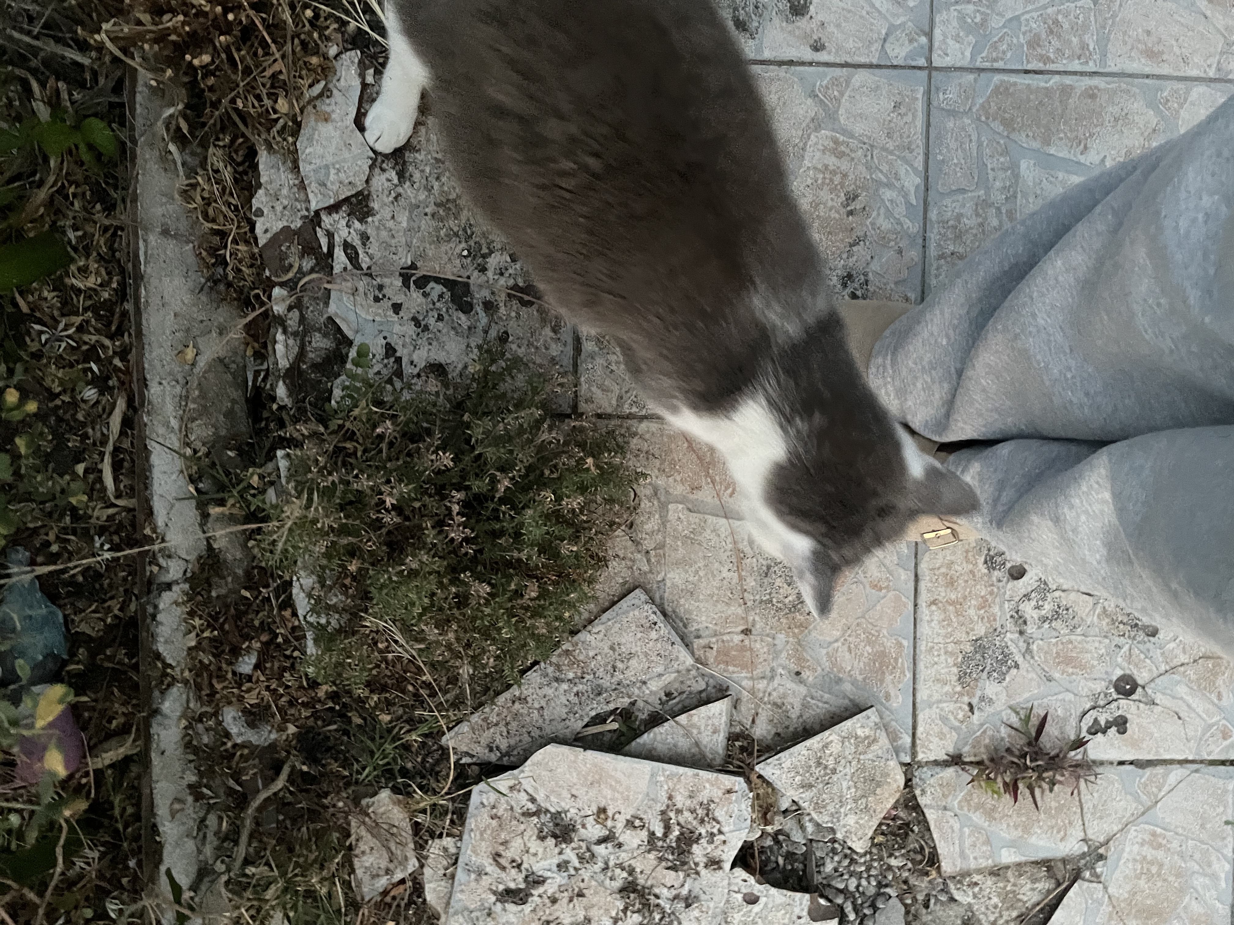 image-5