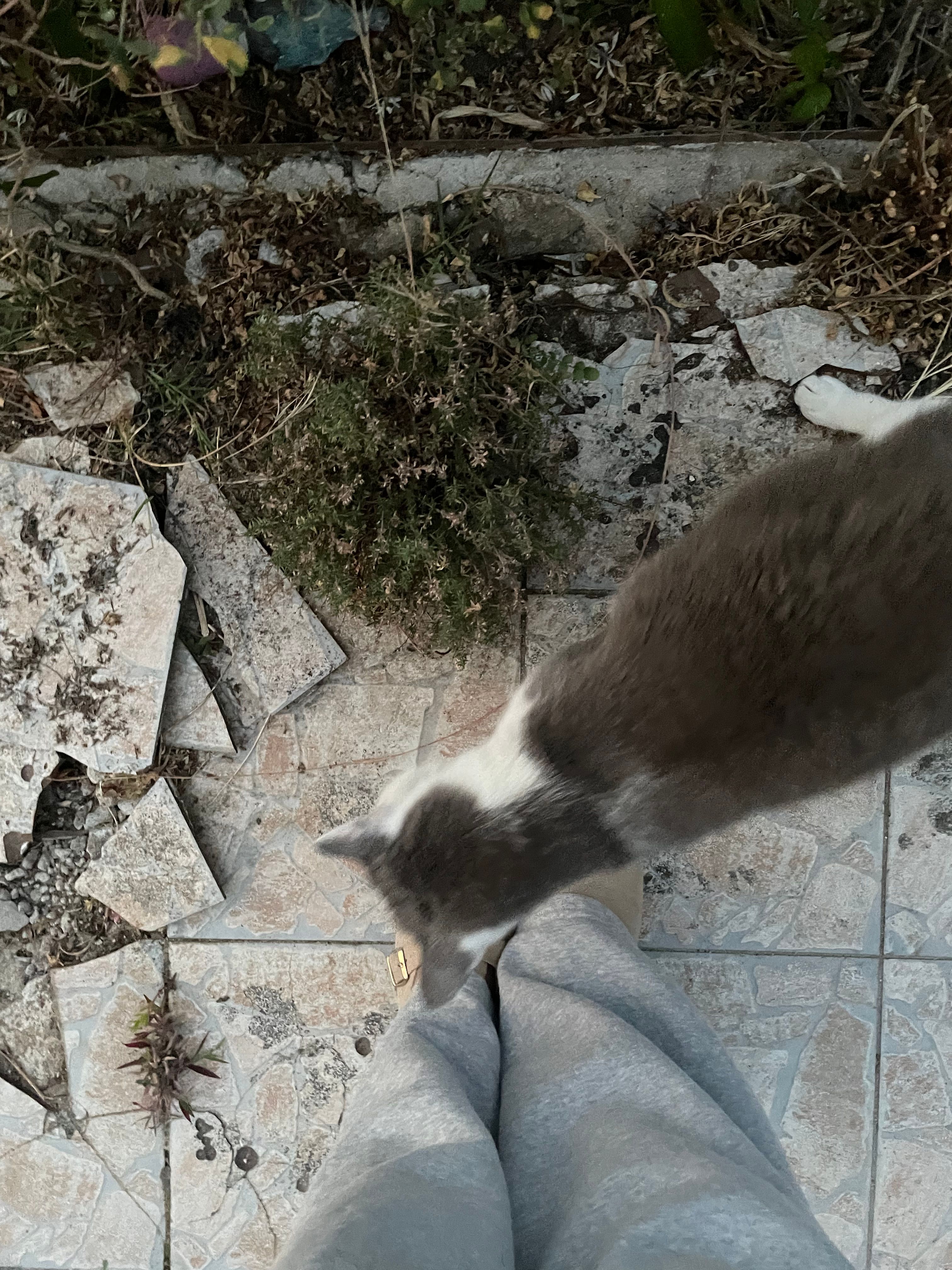 image-5