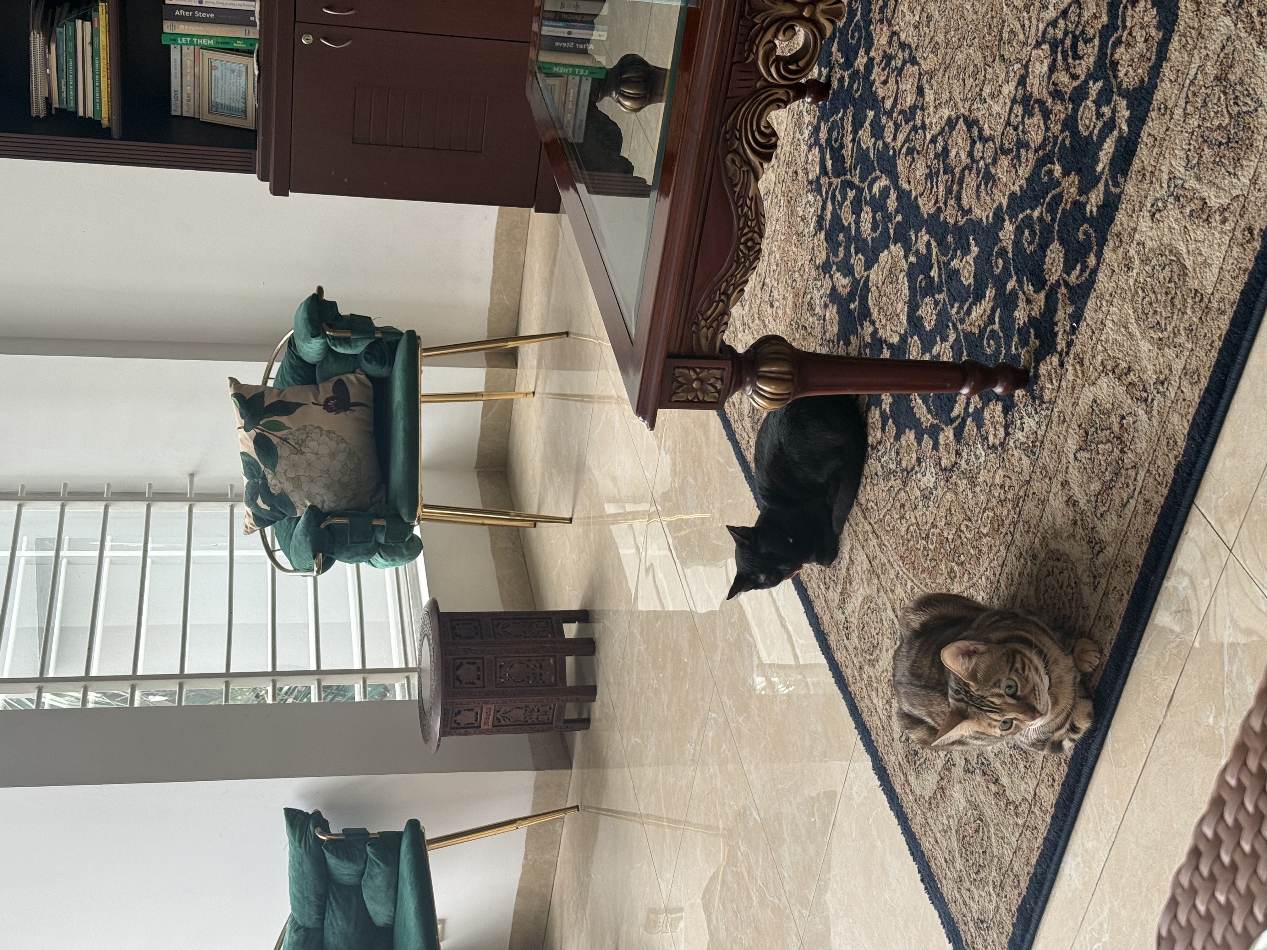 image-20