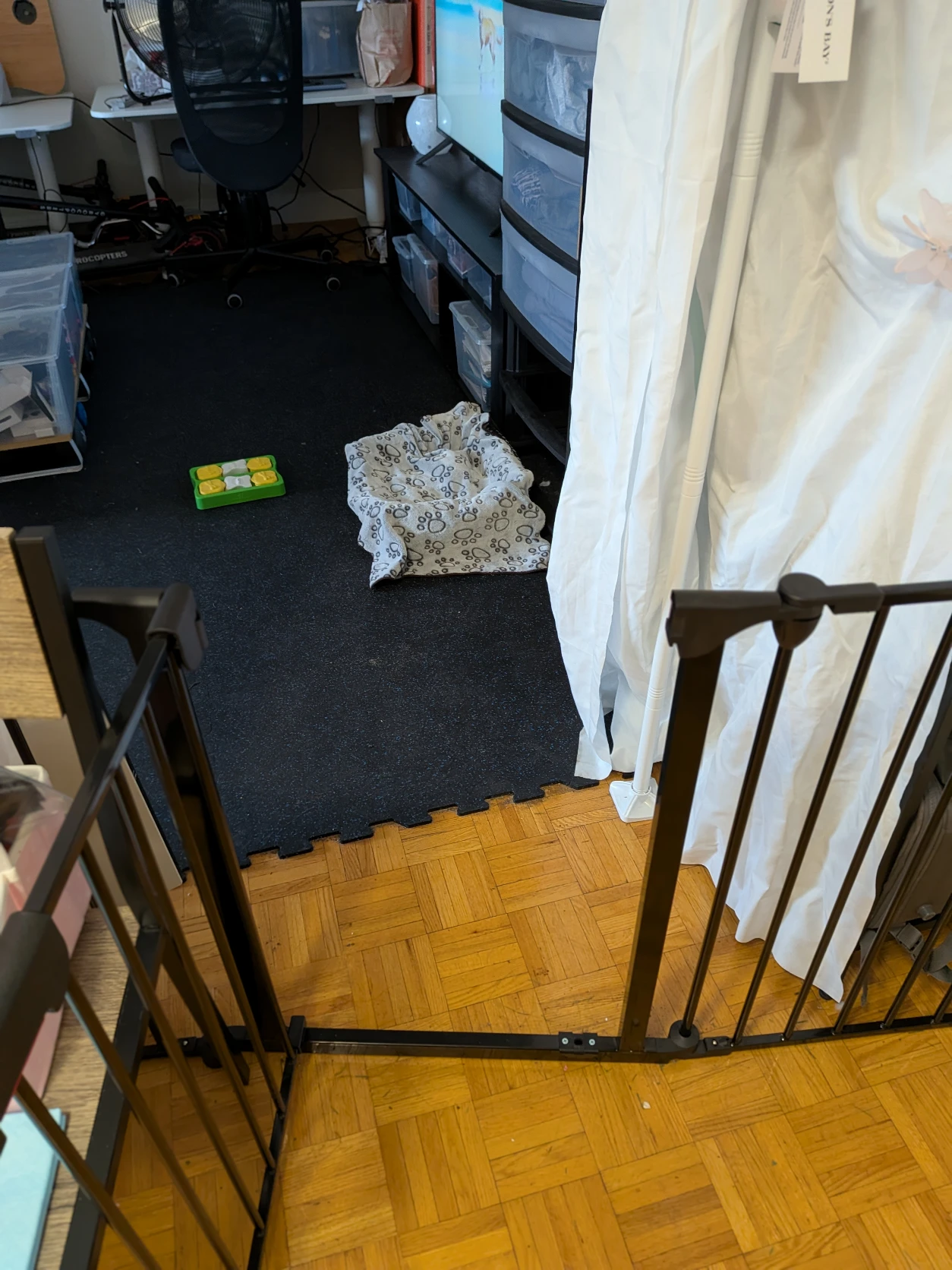 image-19