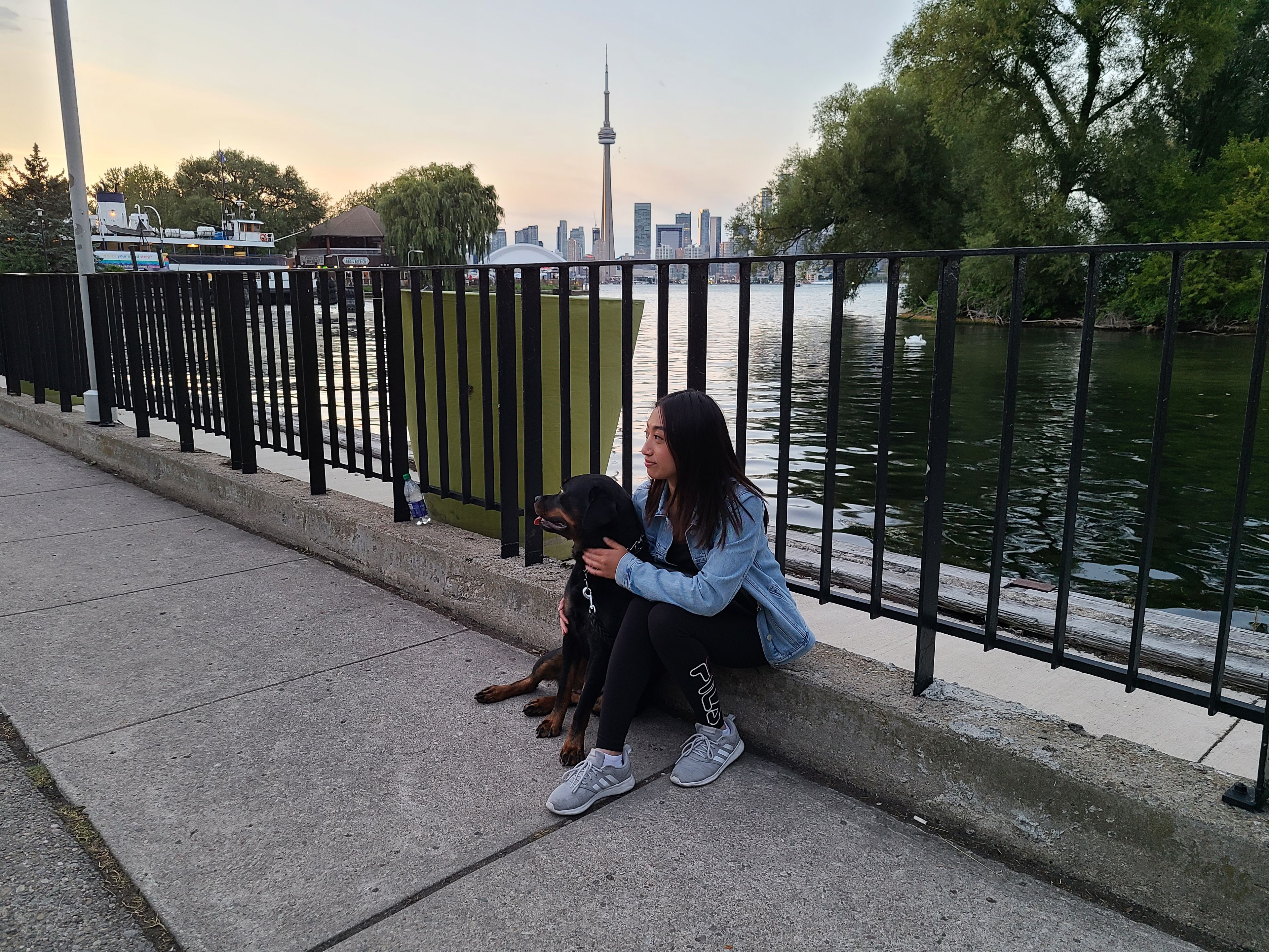 image-8