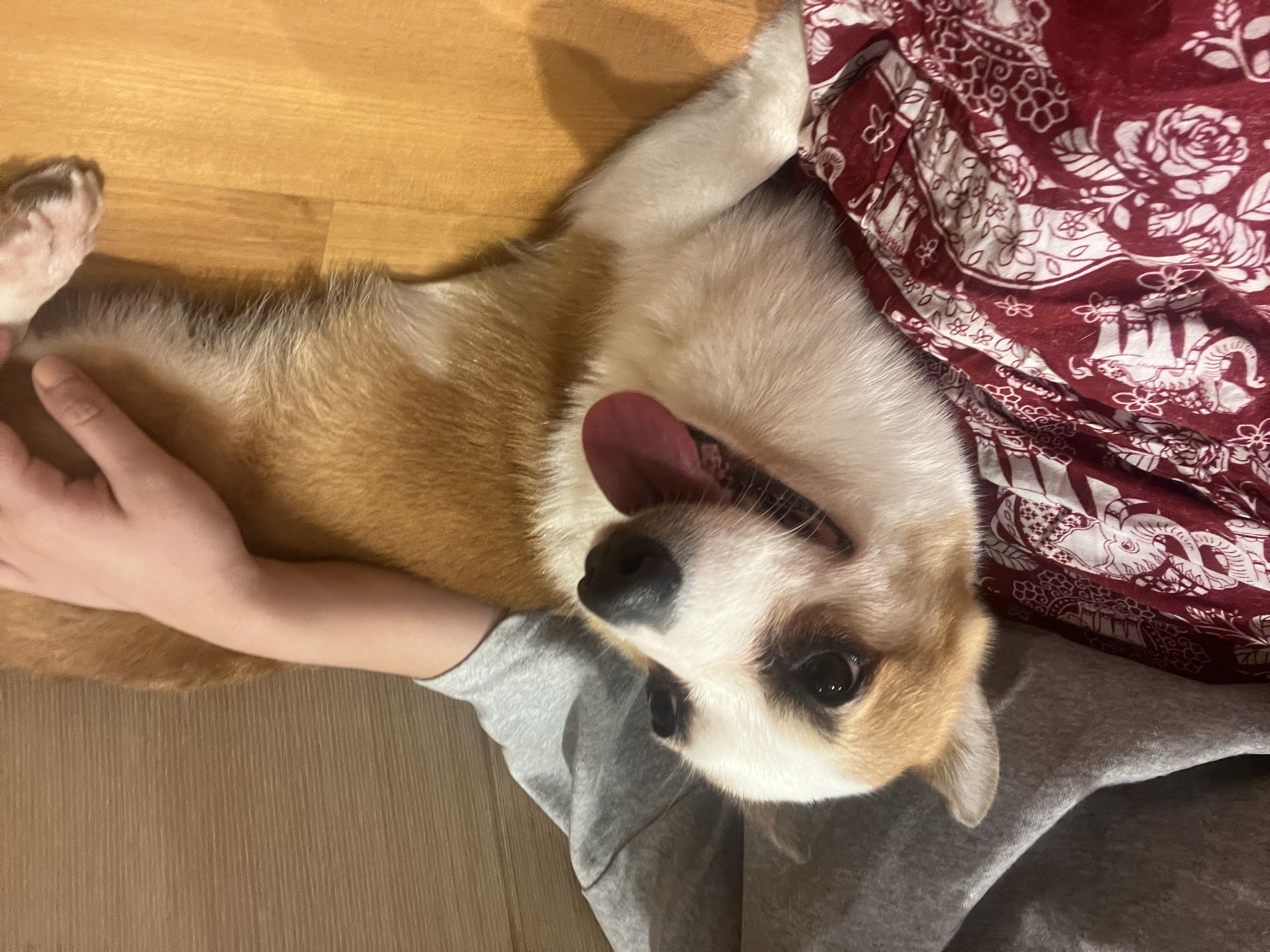 image-9