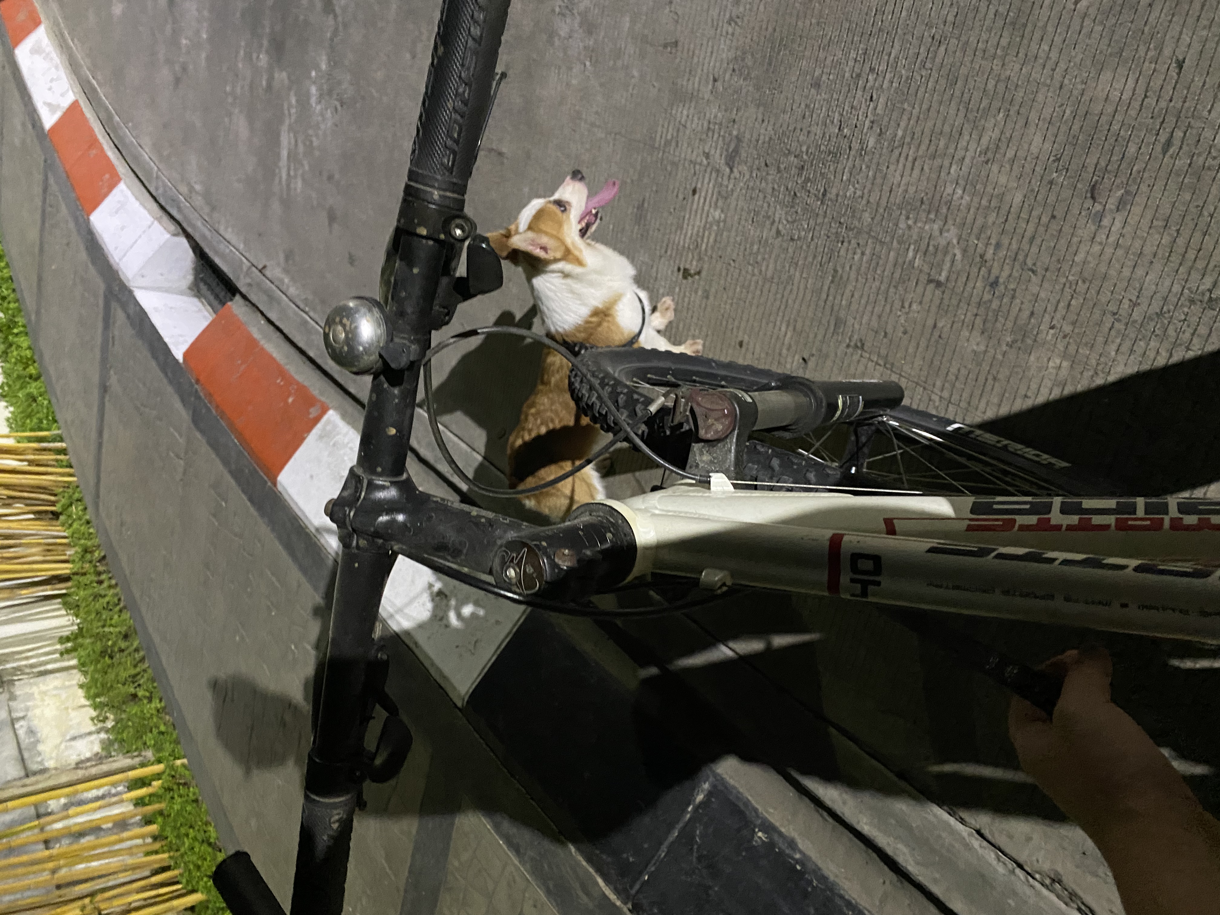 image-6