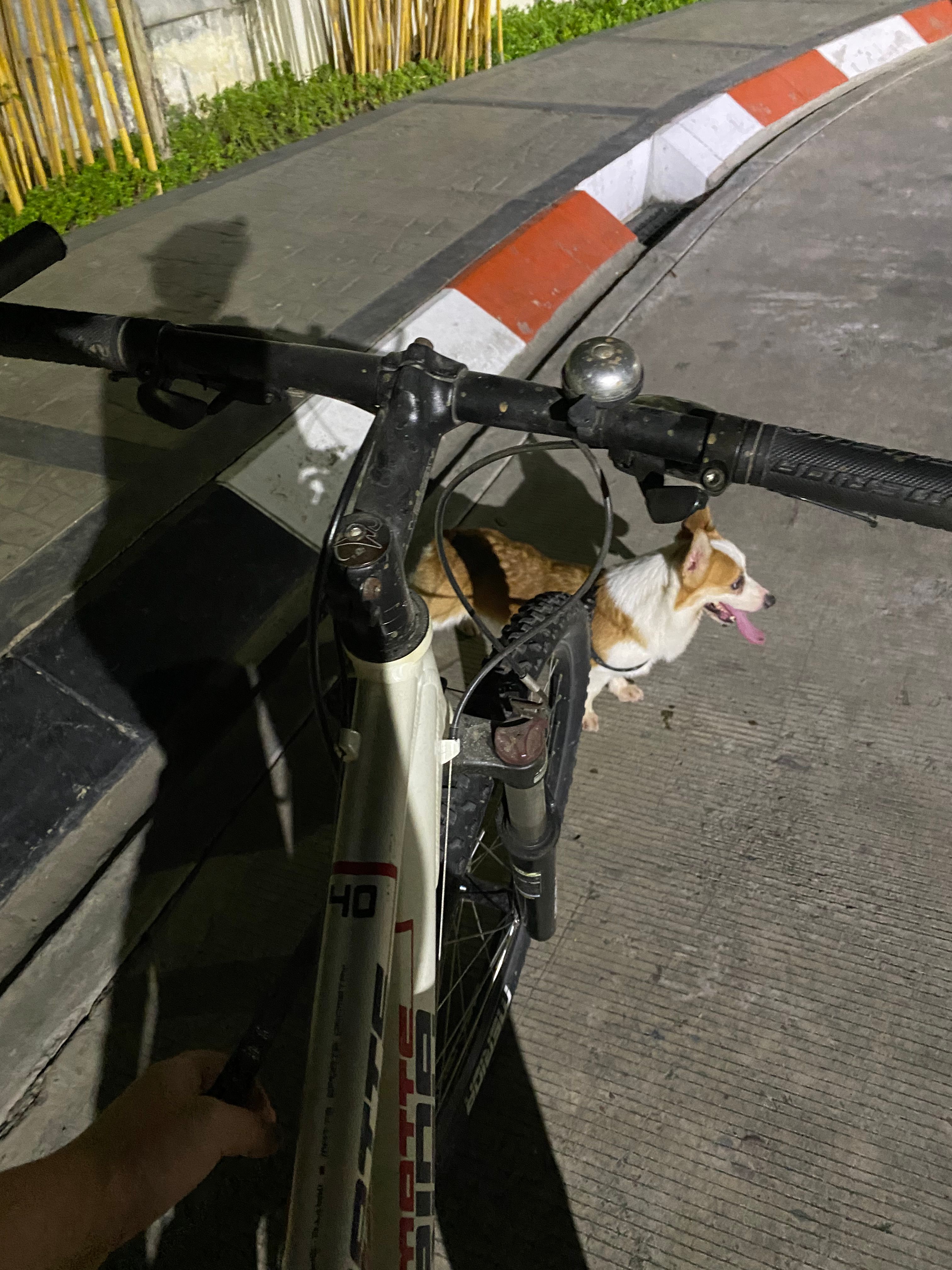 image-6