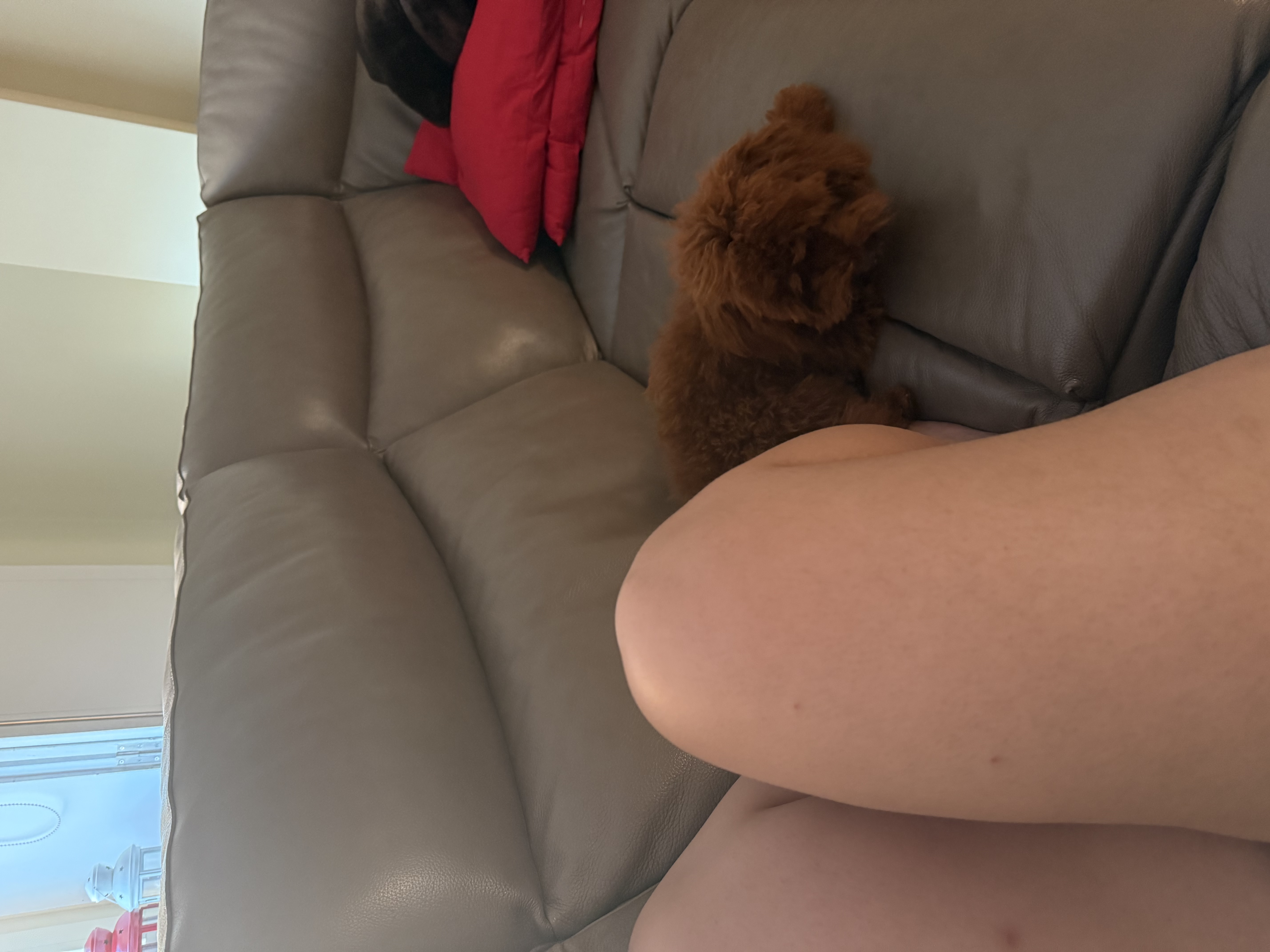 image-12