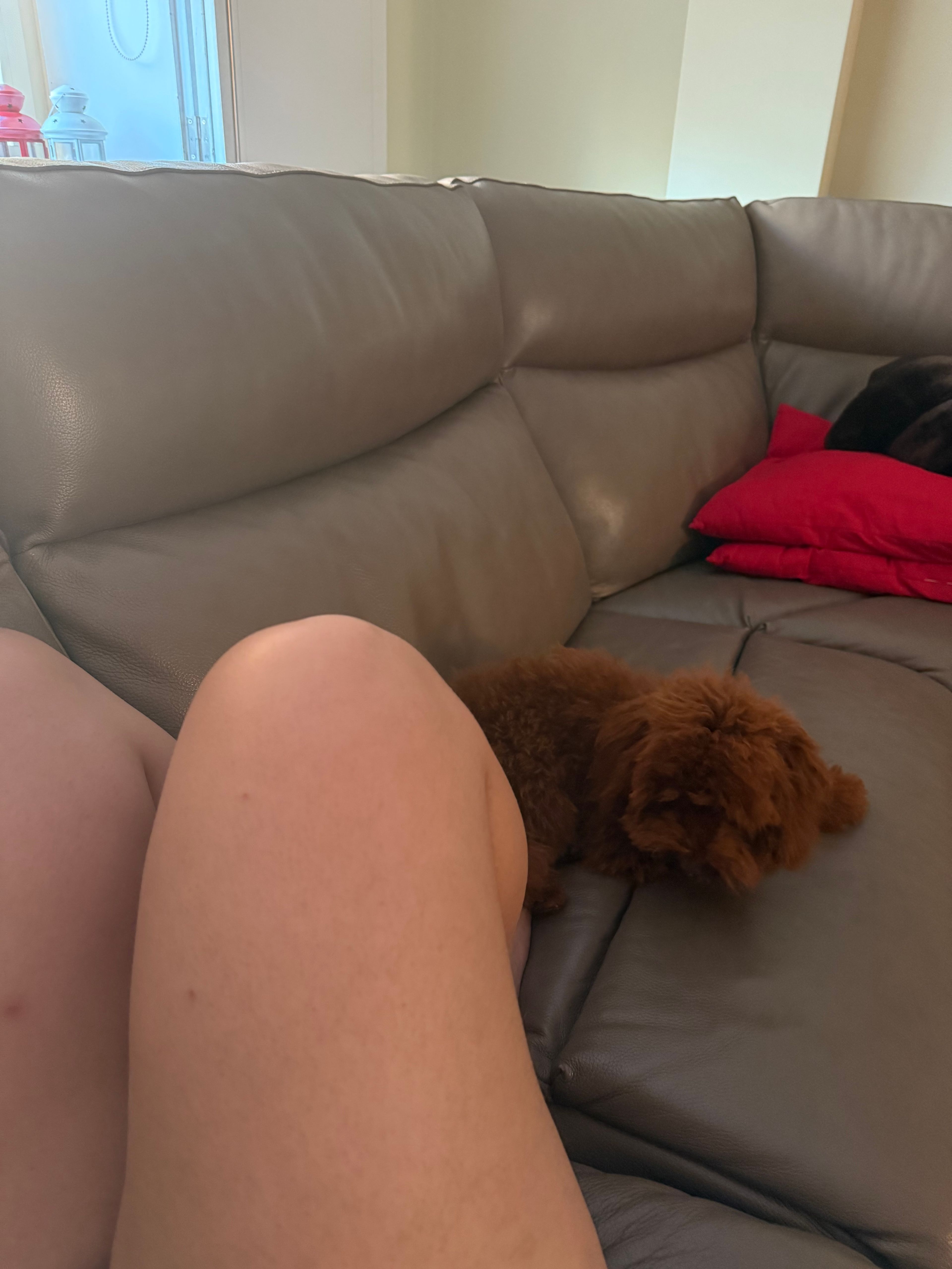 image-12