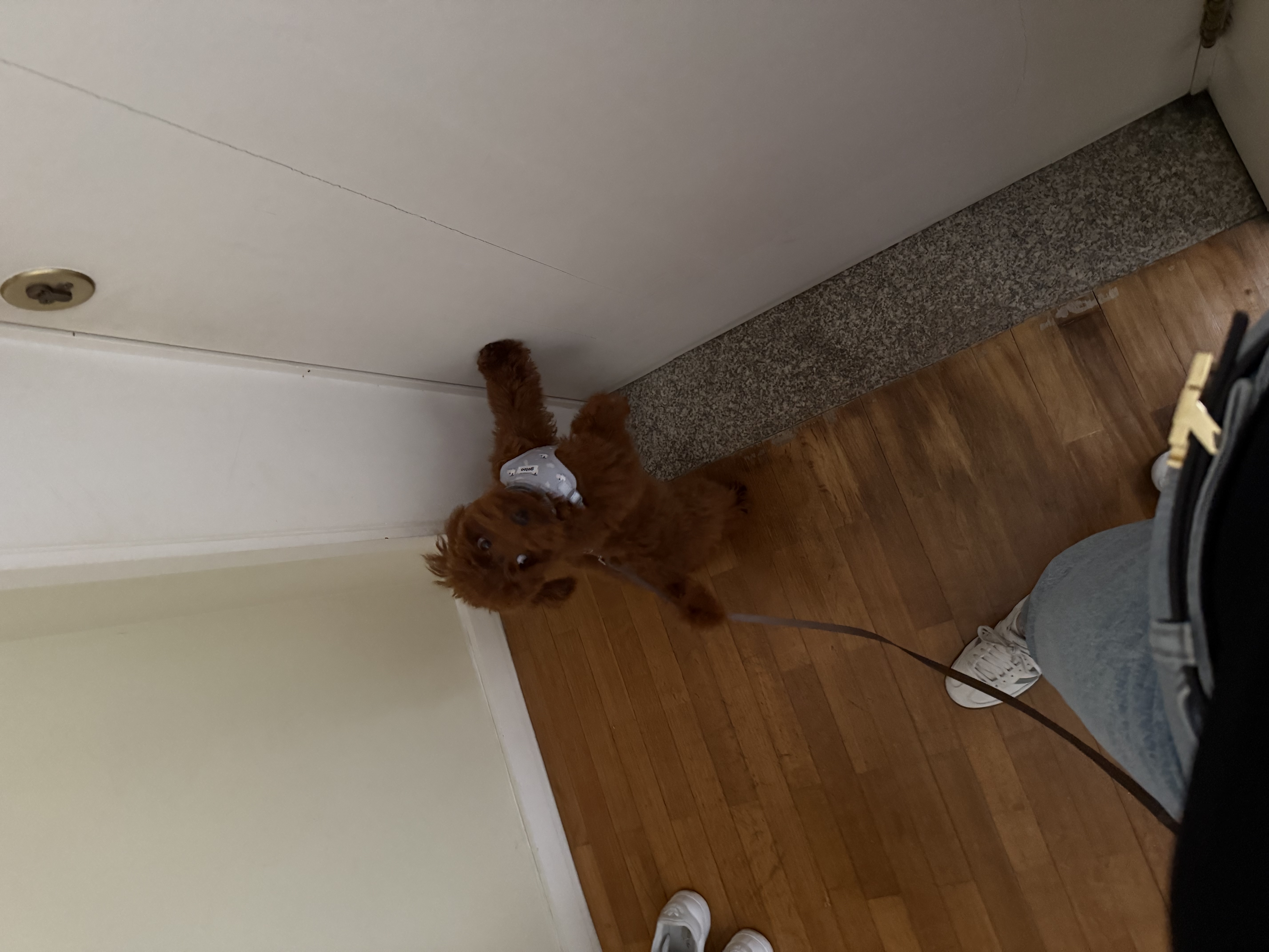 image-5