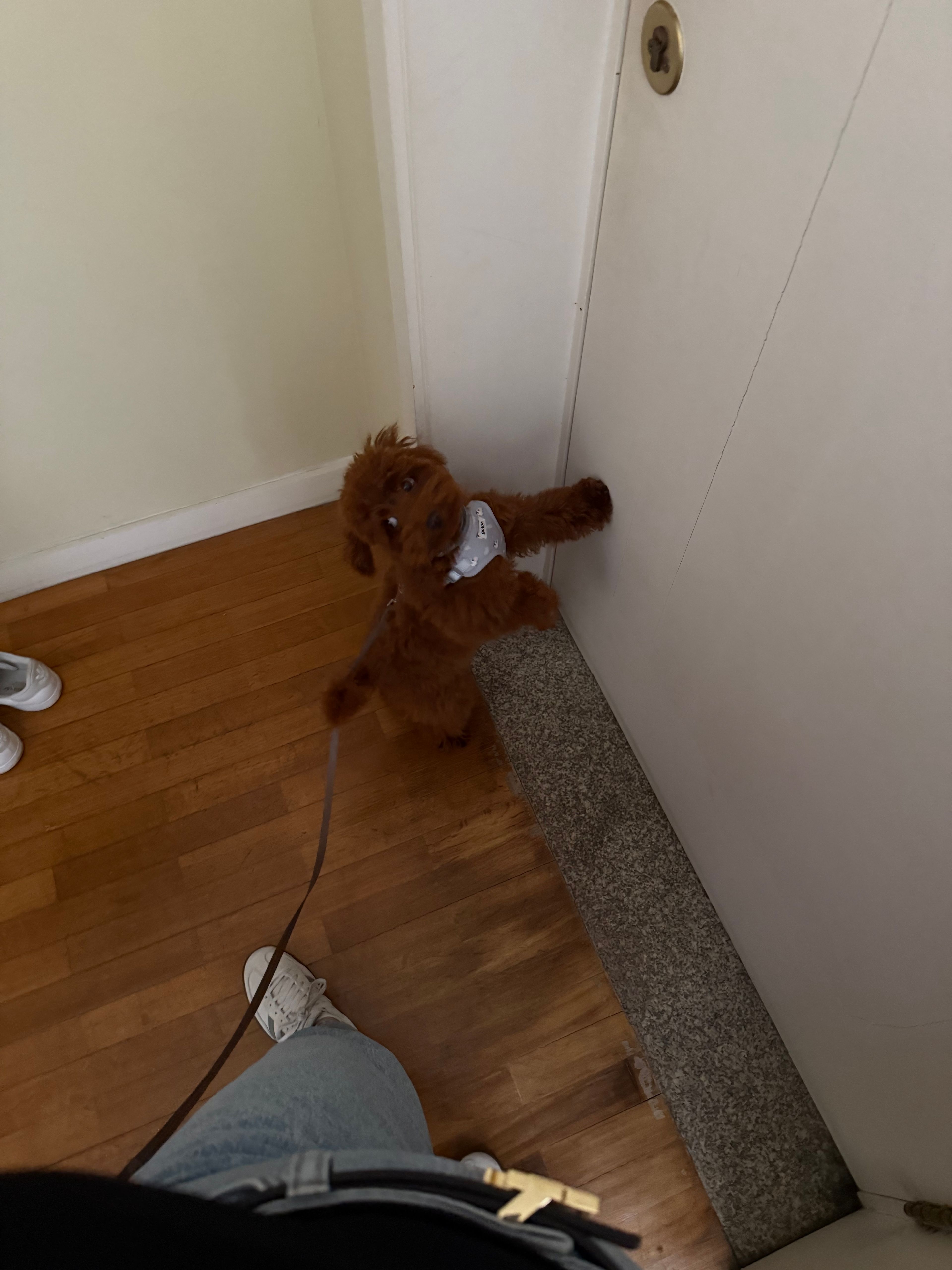image-5