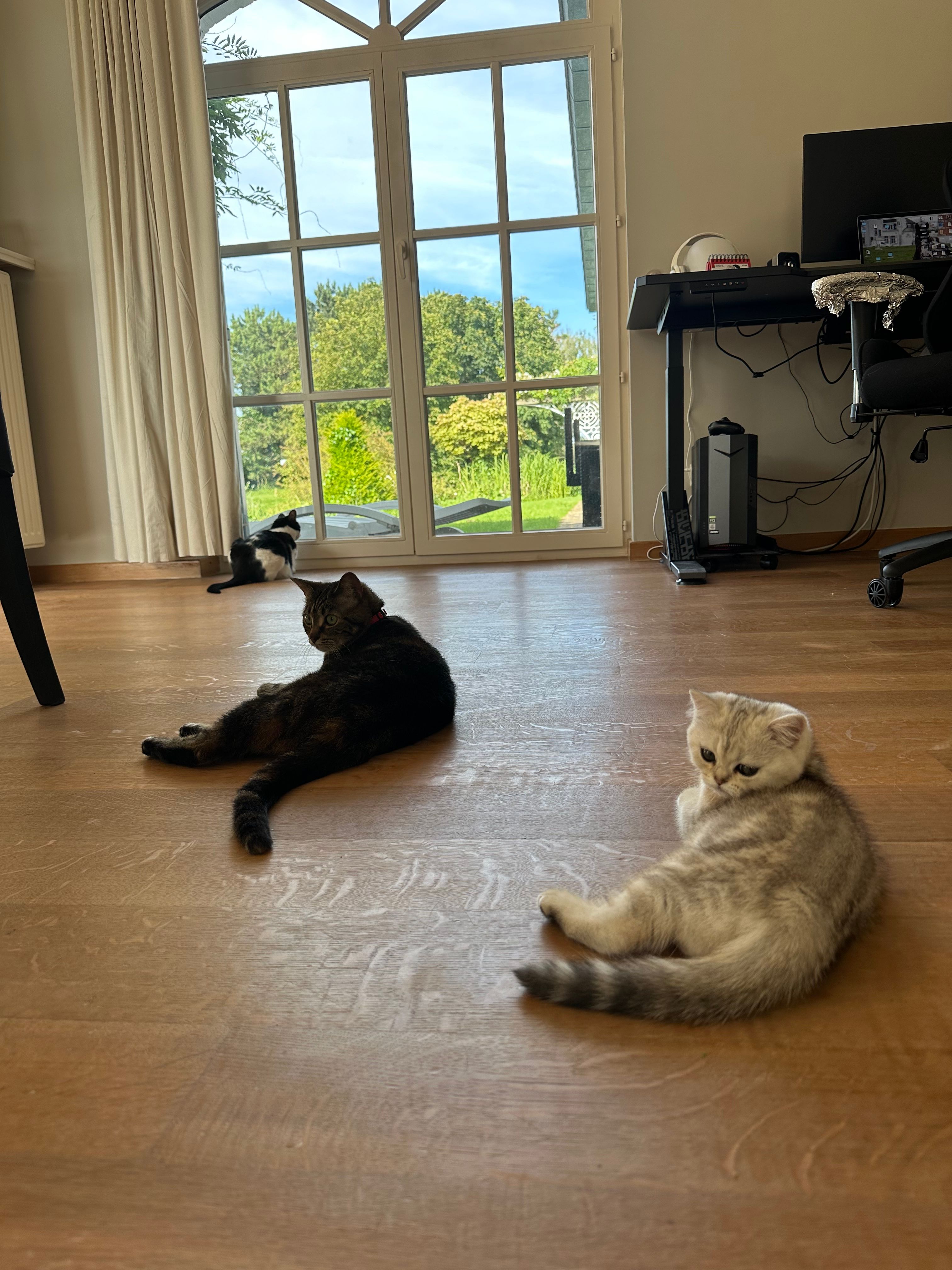 image-18