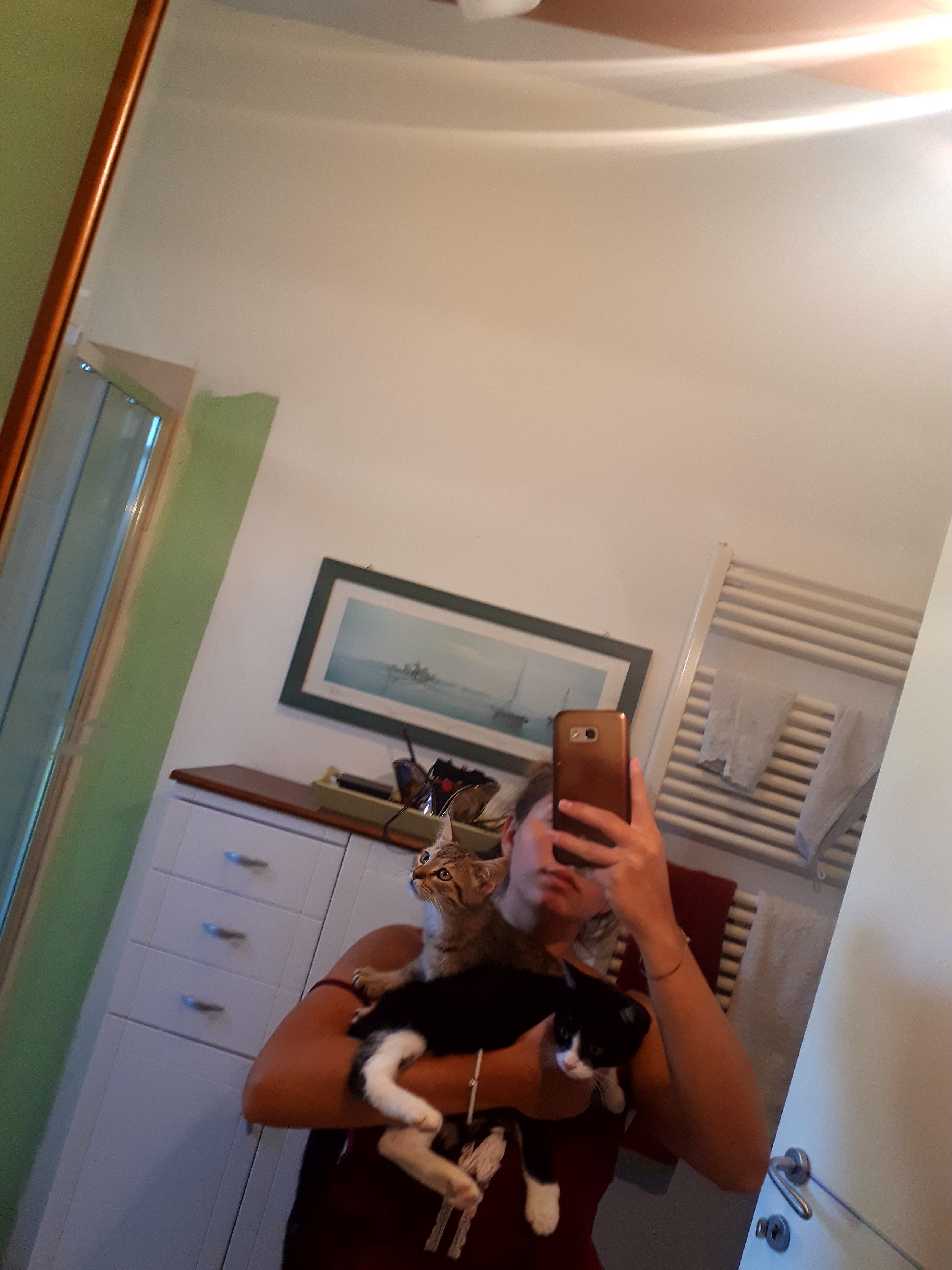 image-5