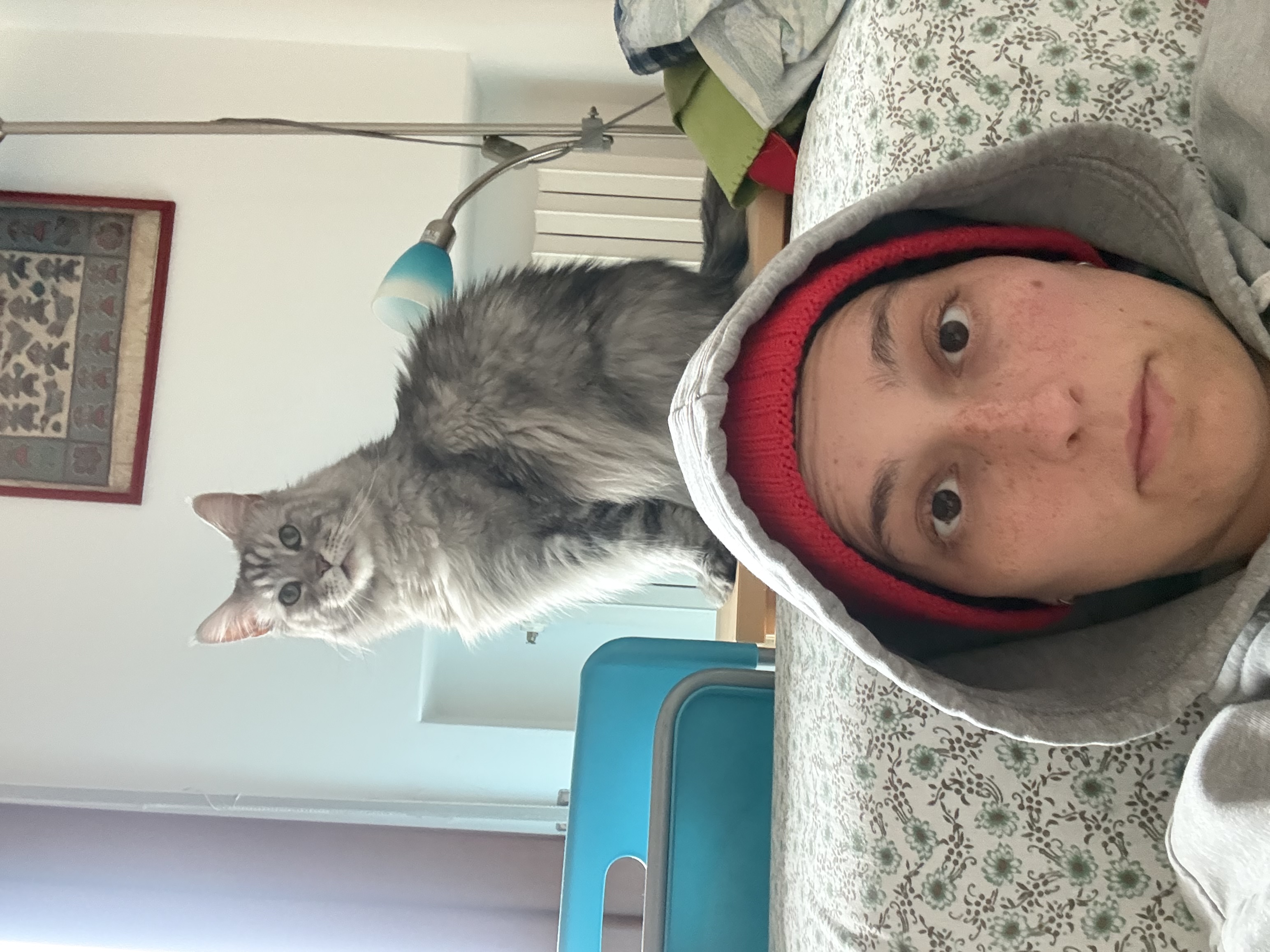 image-10