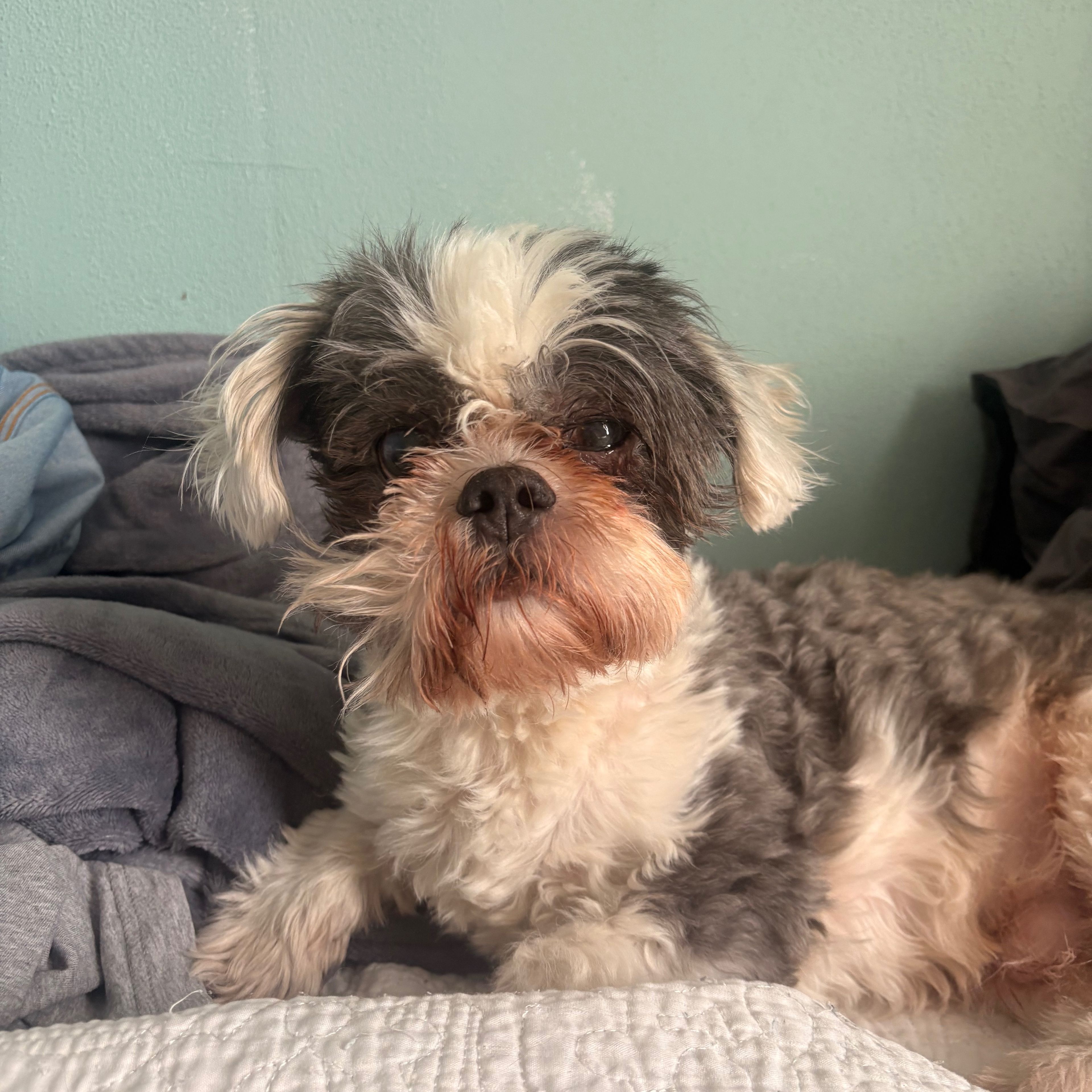 Max