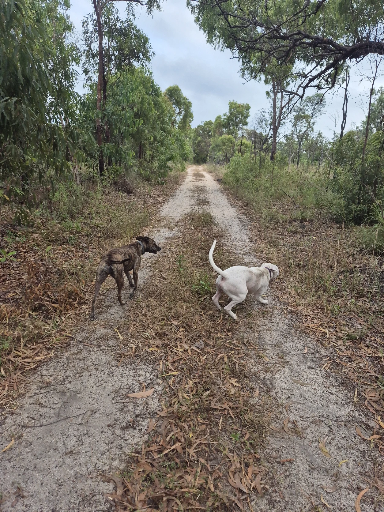 image-6
