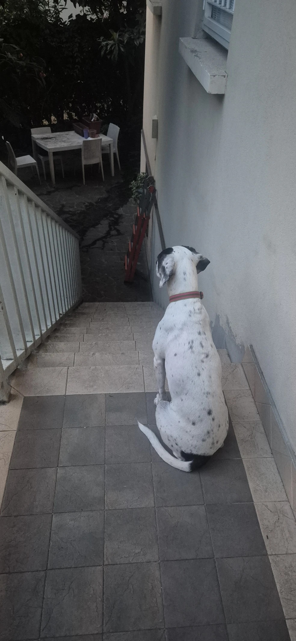image-16