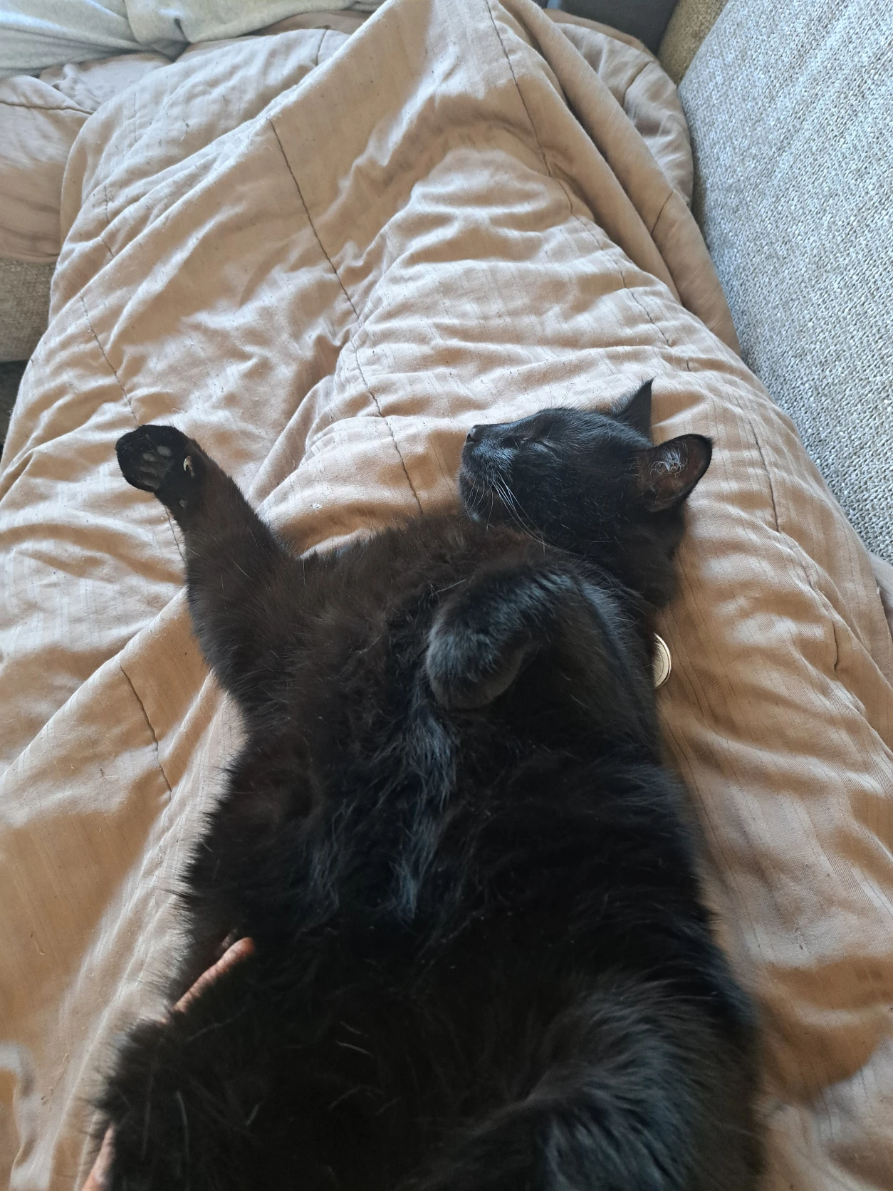 image-5