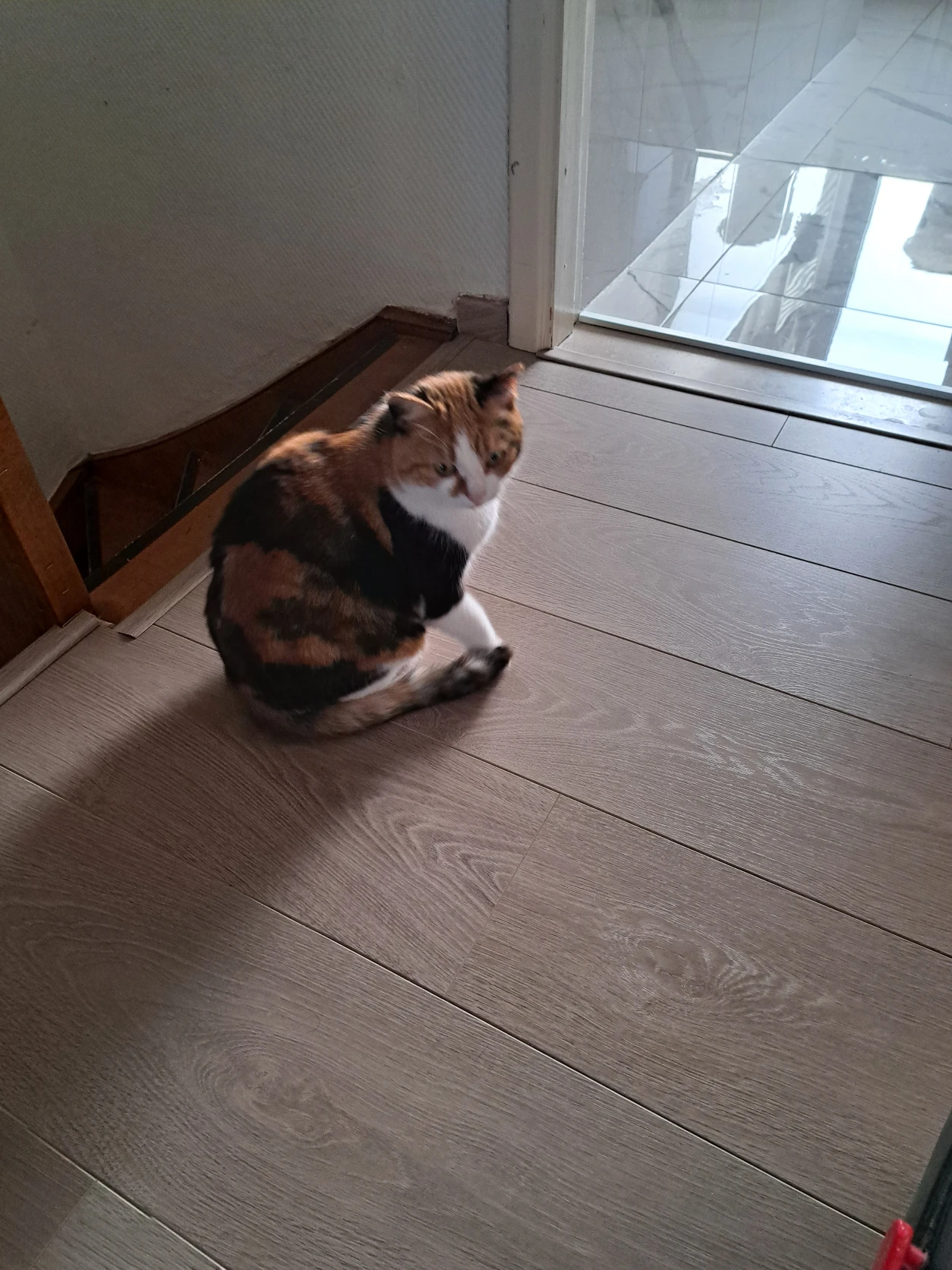 image-8