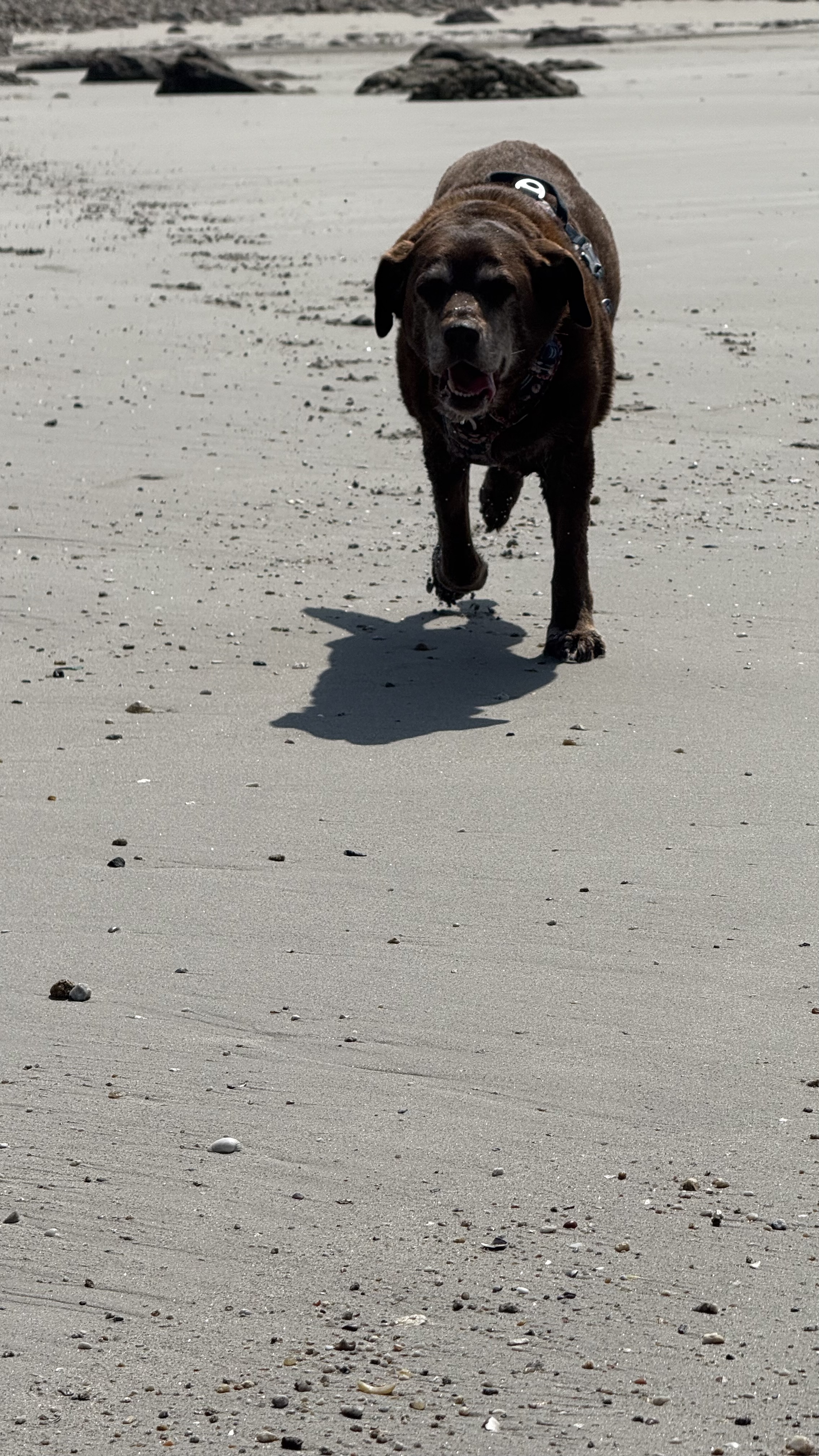 image-8