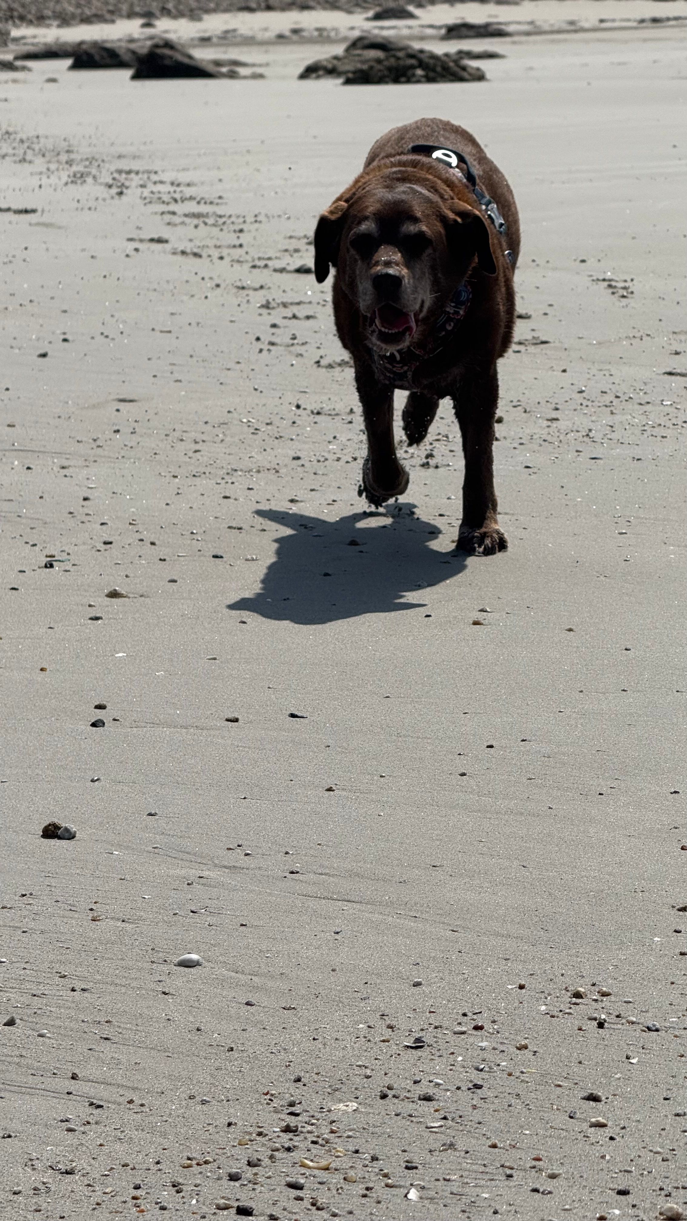 image-8