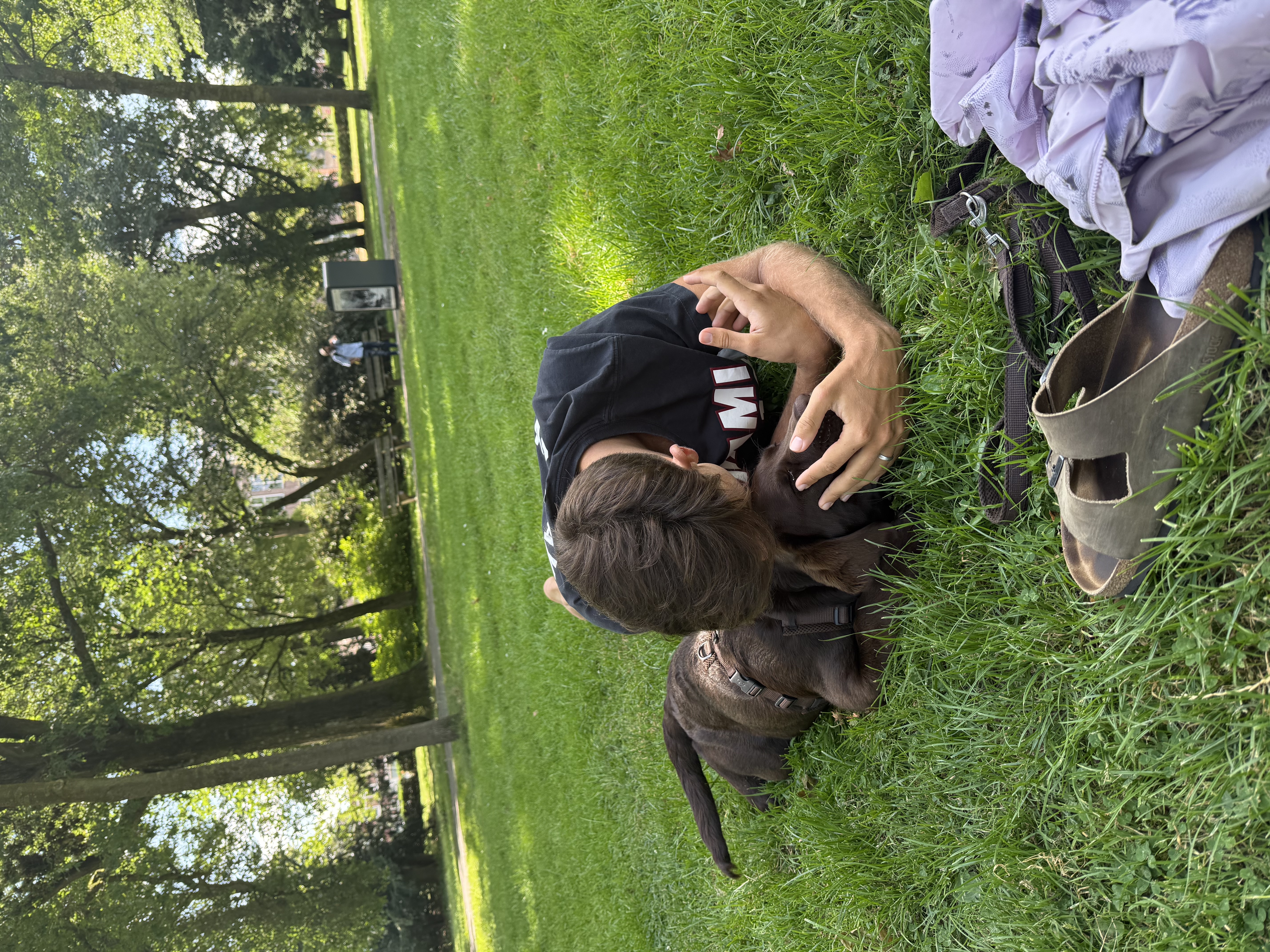 image-9