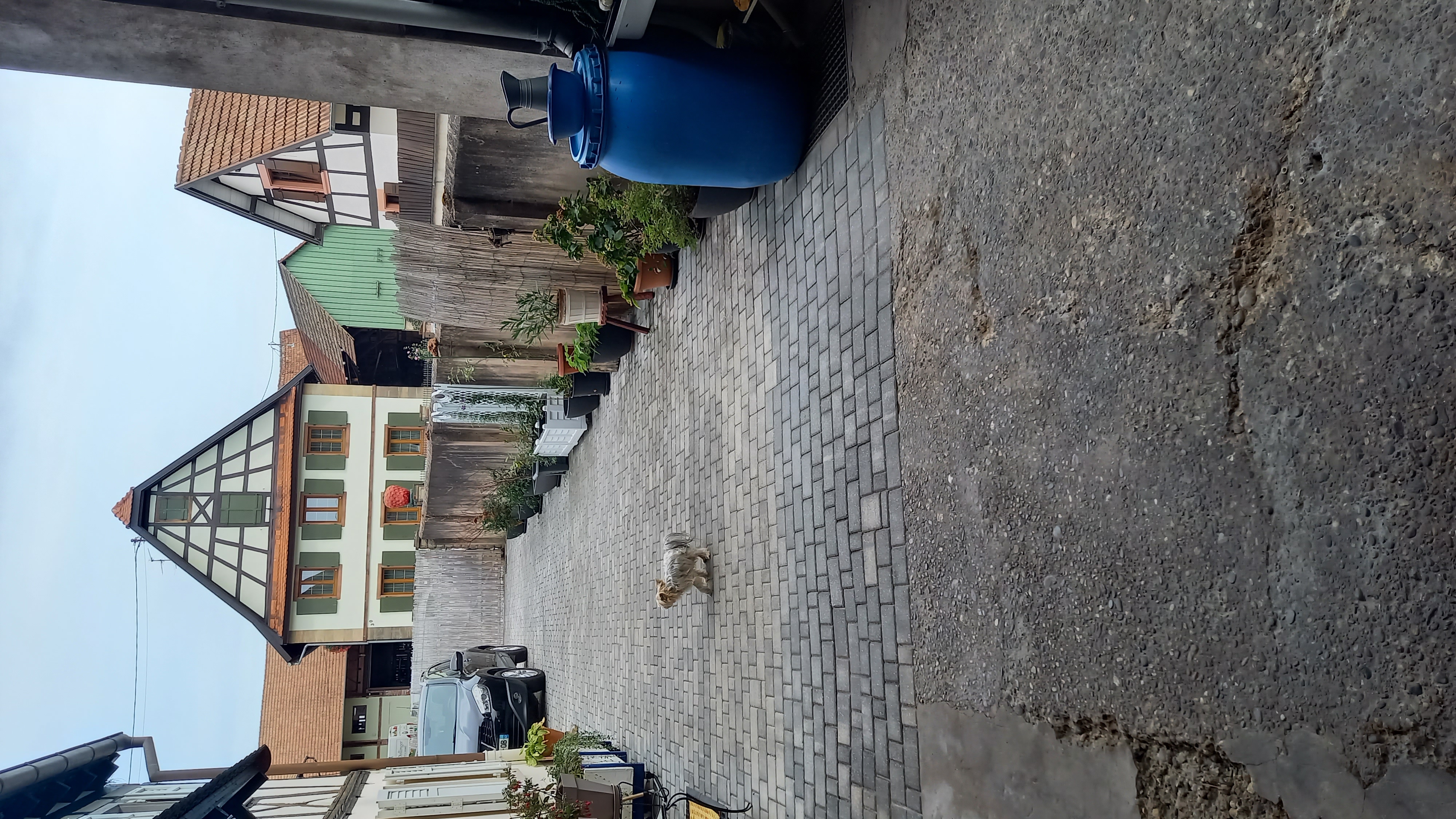 image-25