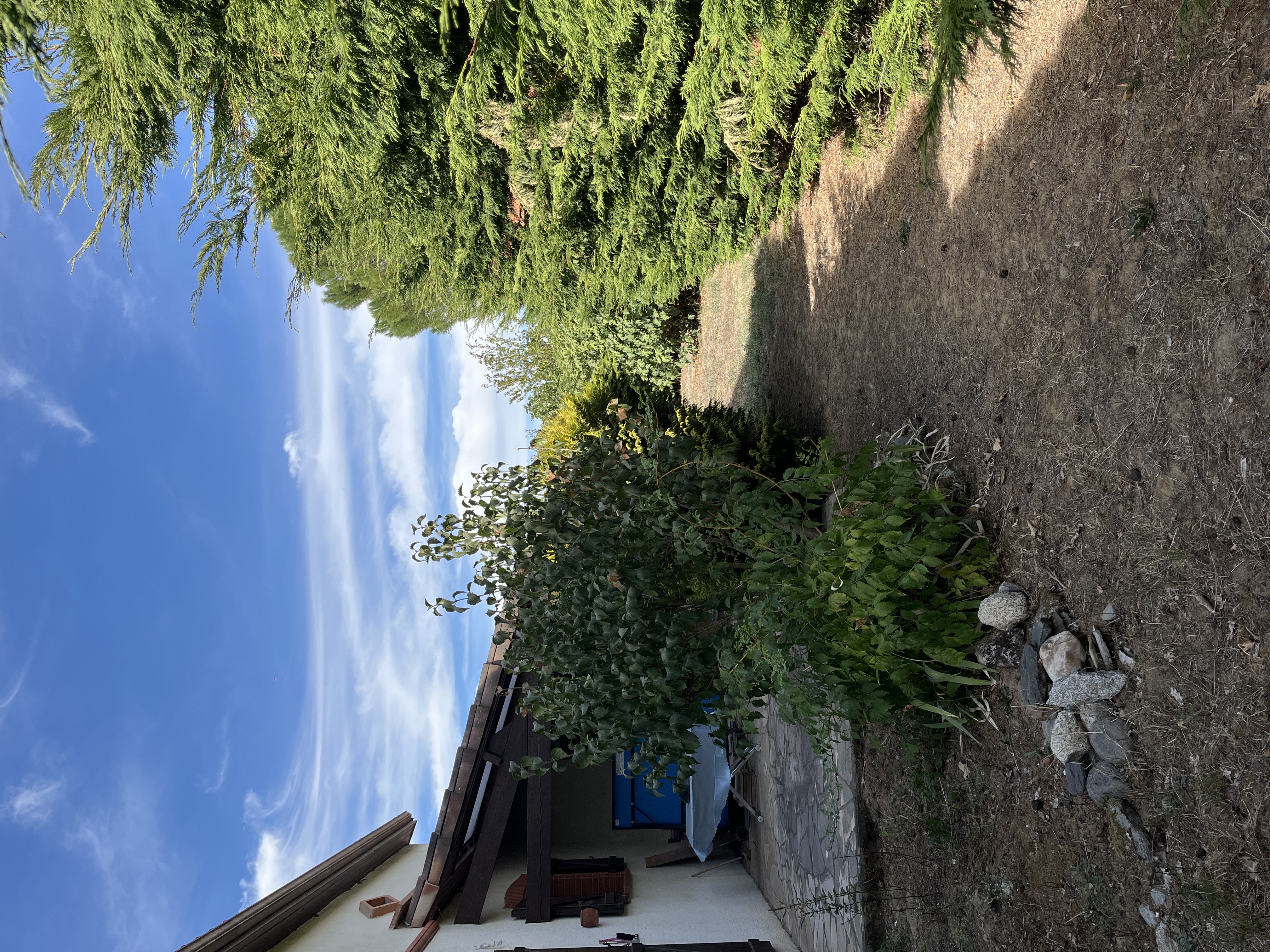 image-22
