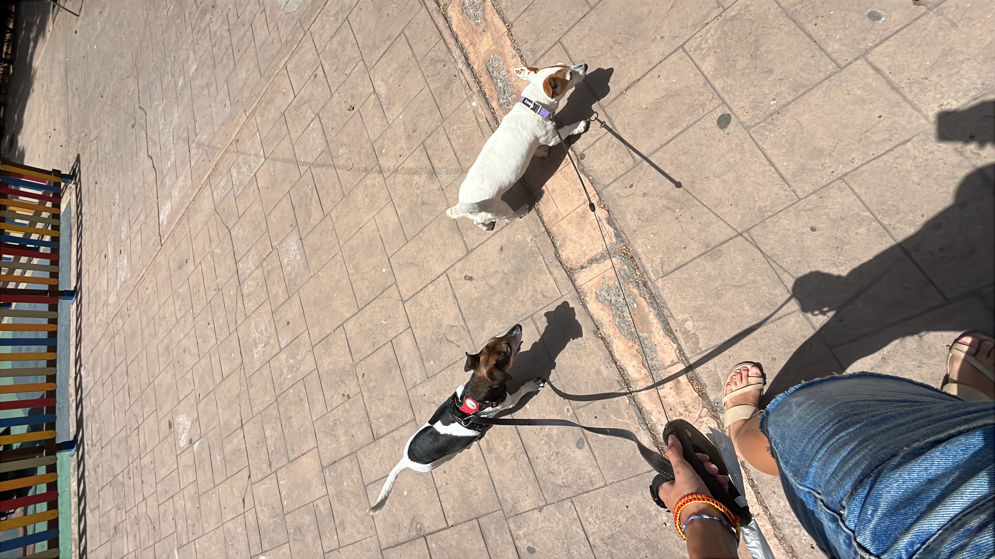 image-6