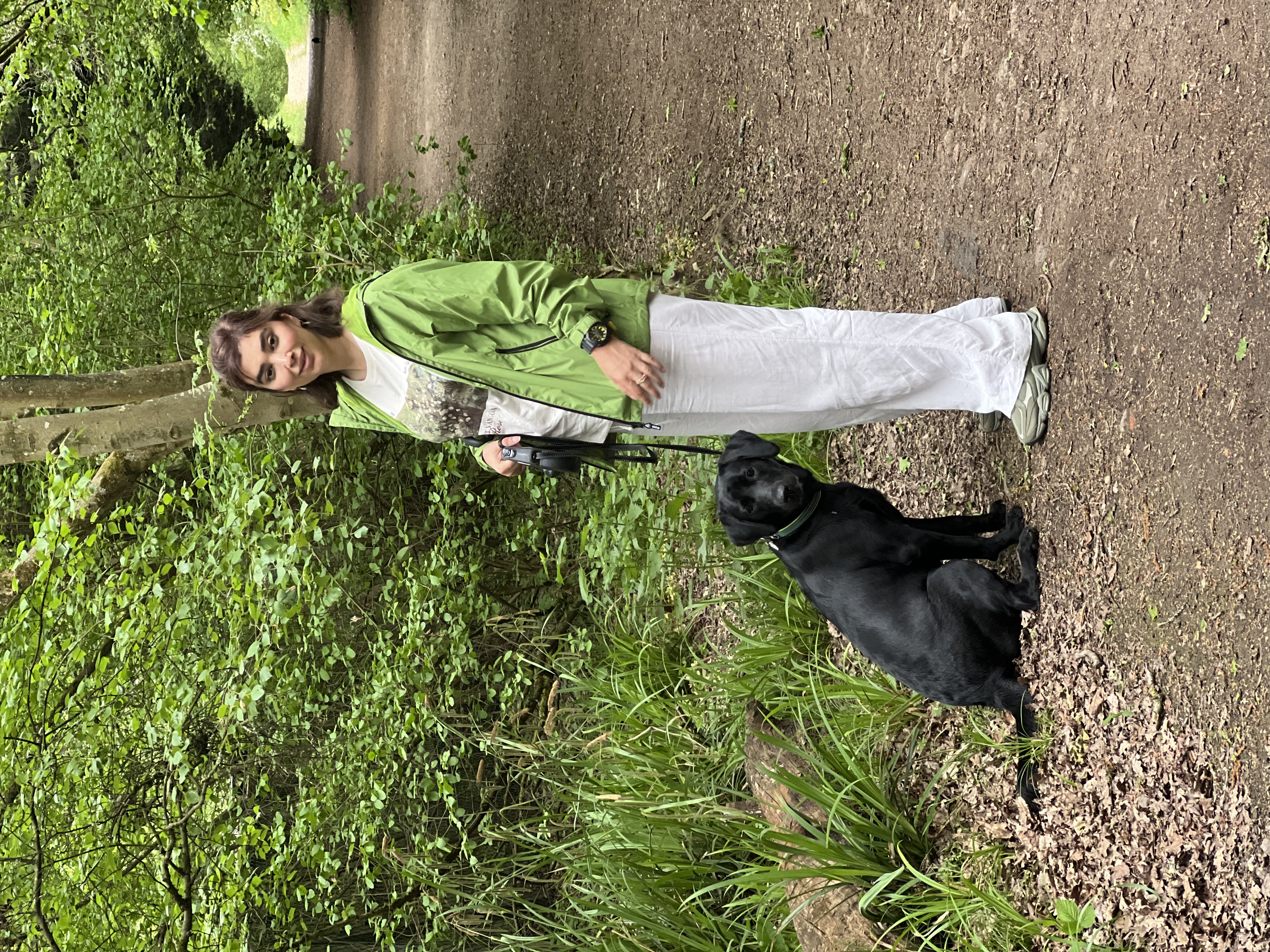 image-28