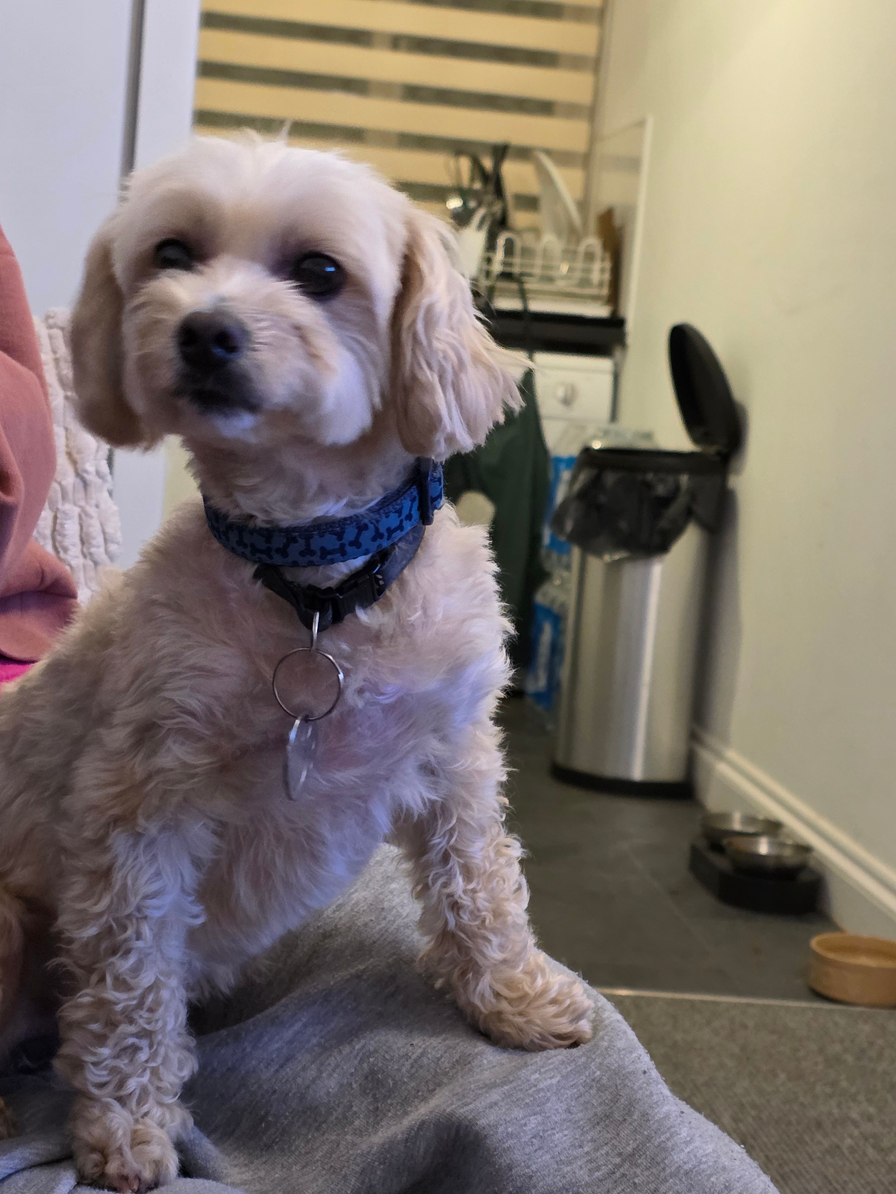 image-12