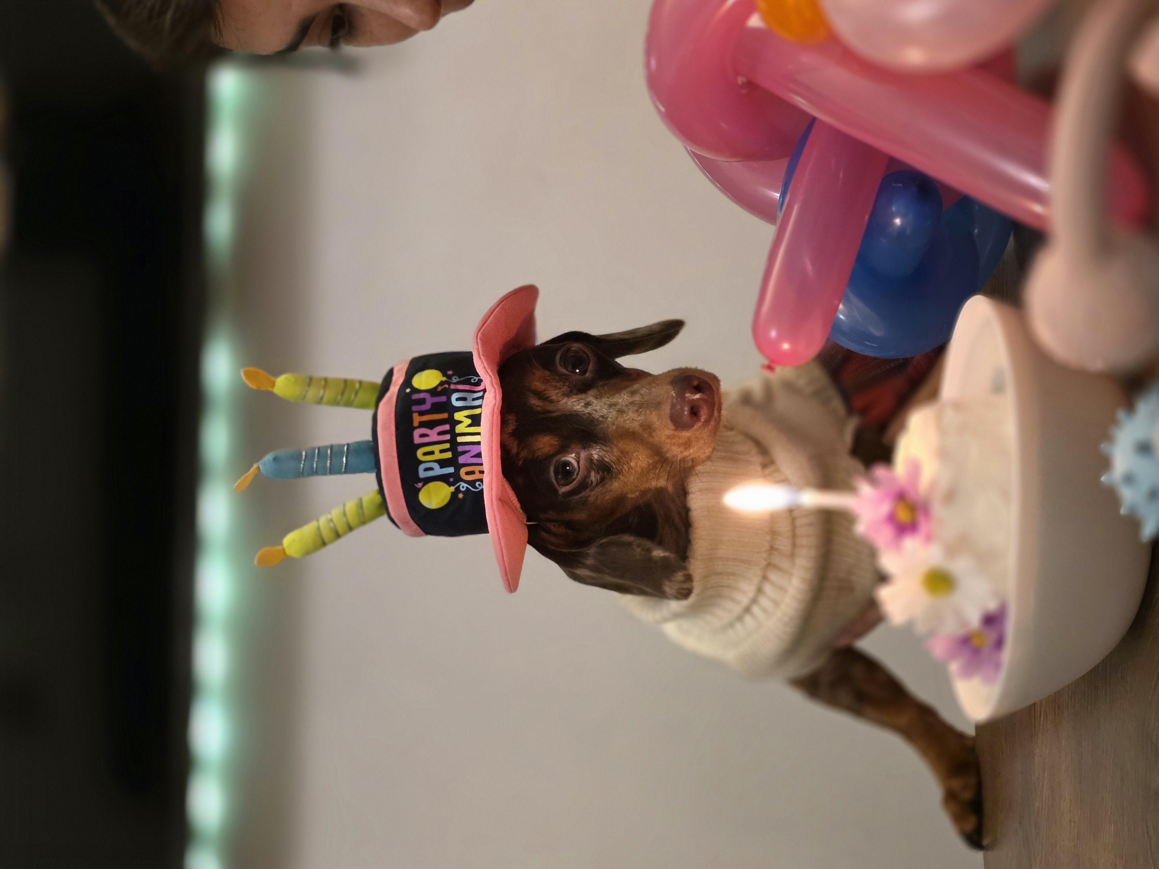 image-6