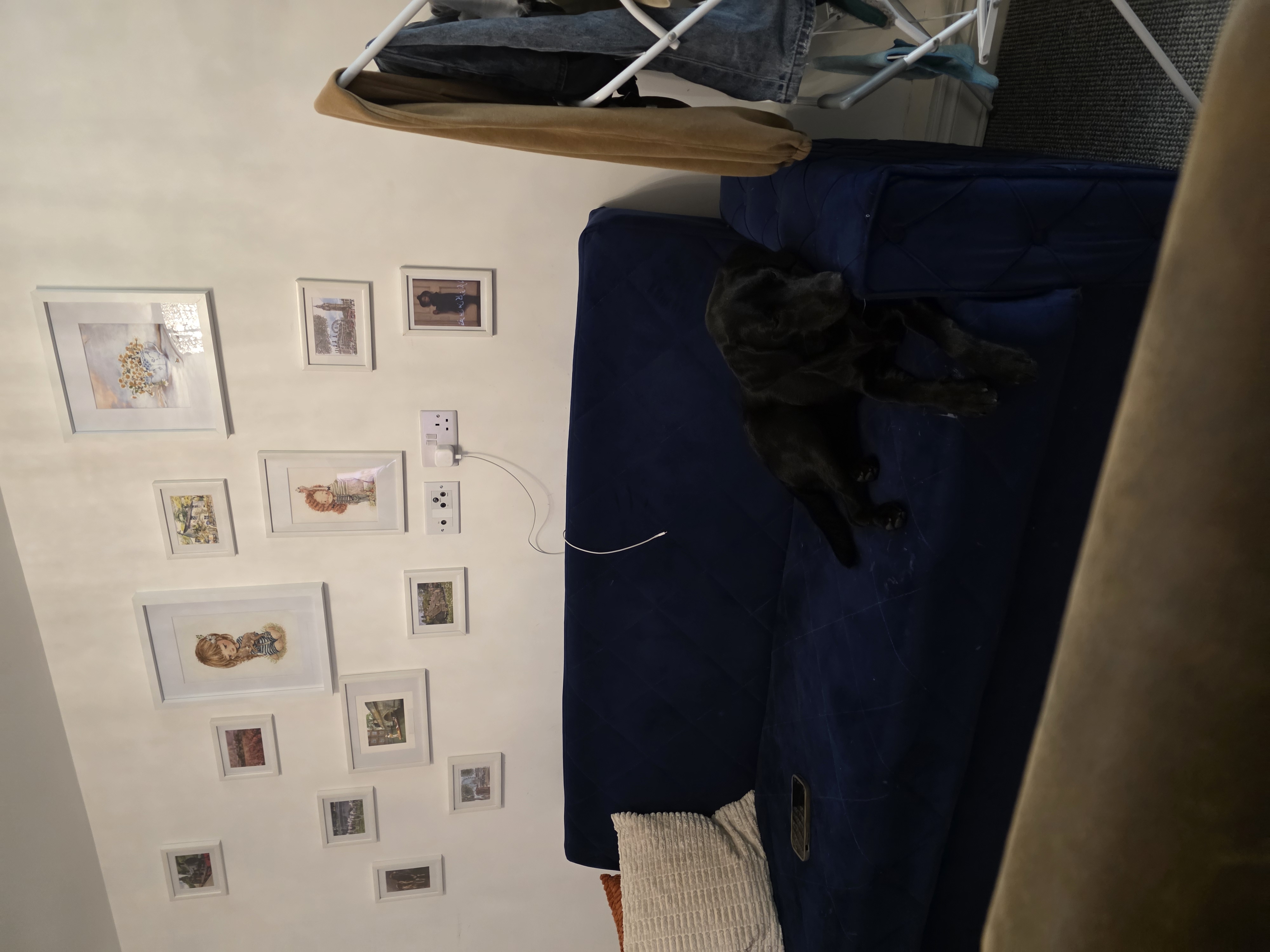 image-18
