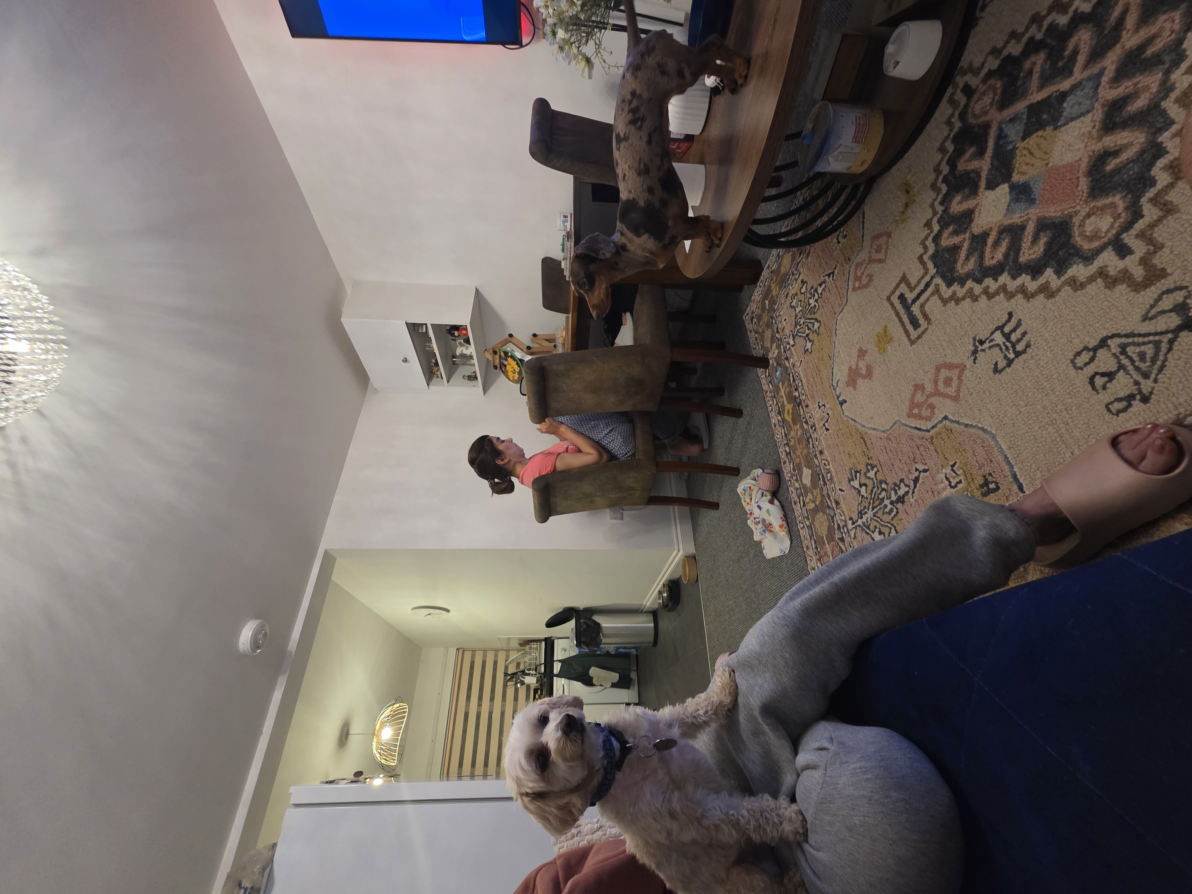 image-13
