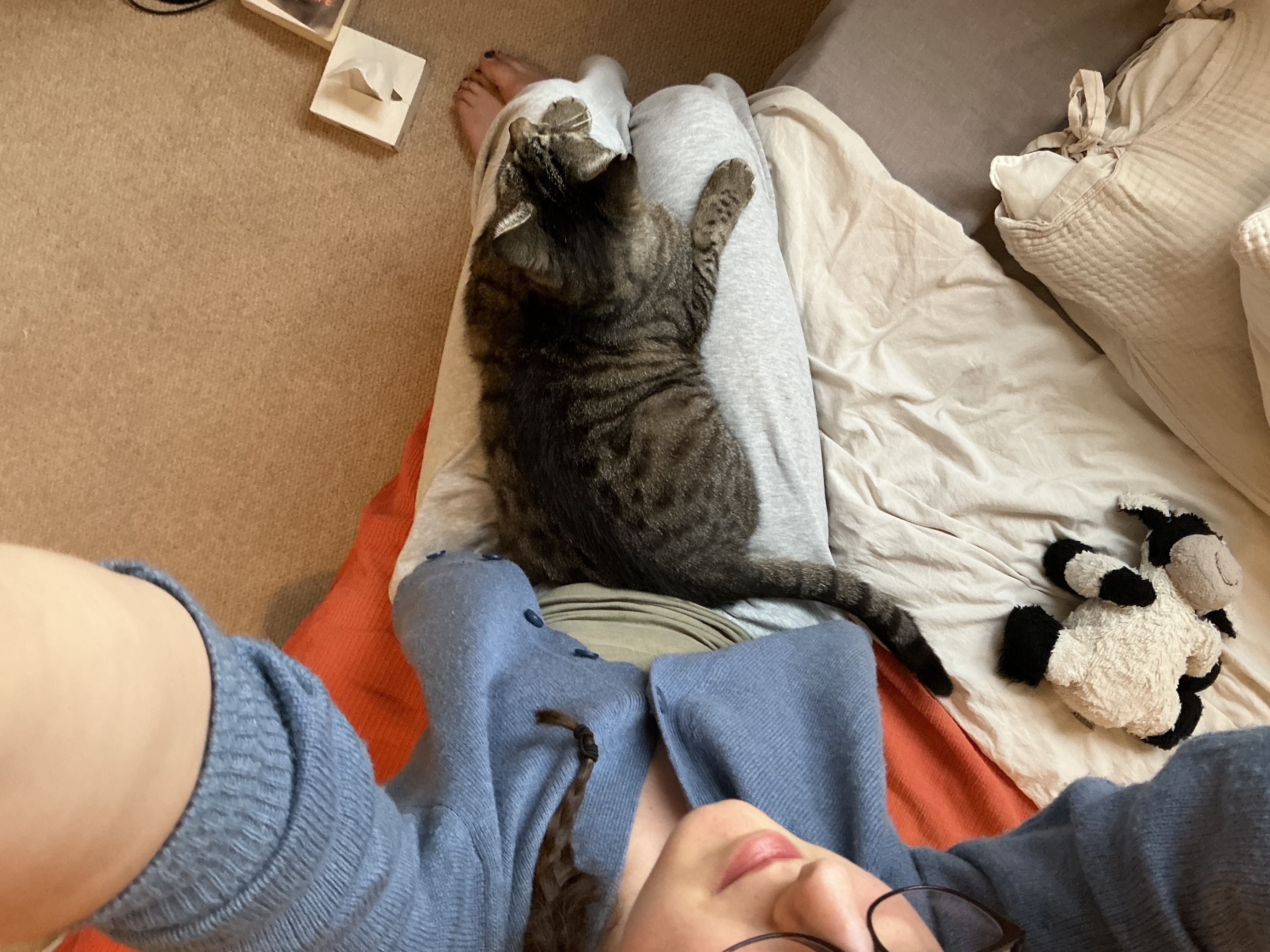image-6