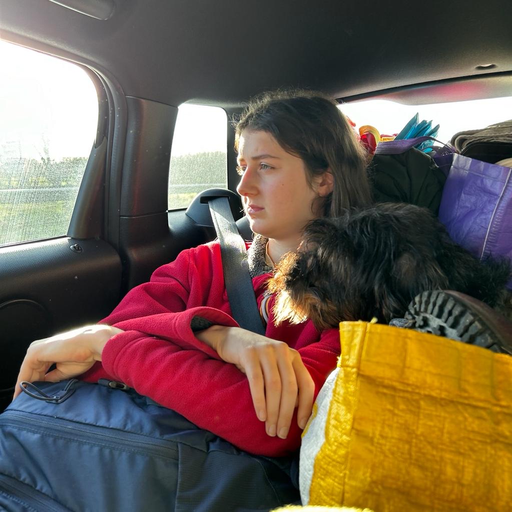image-9