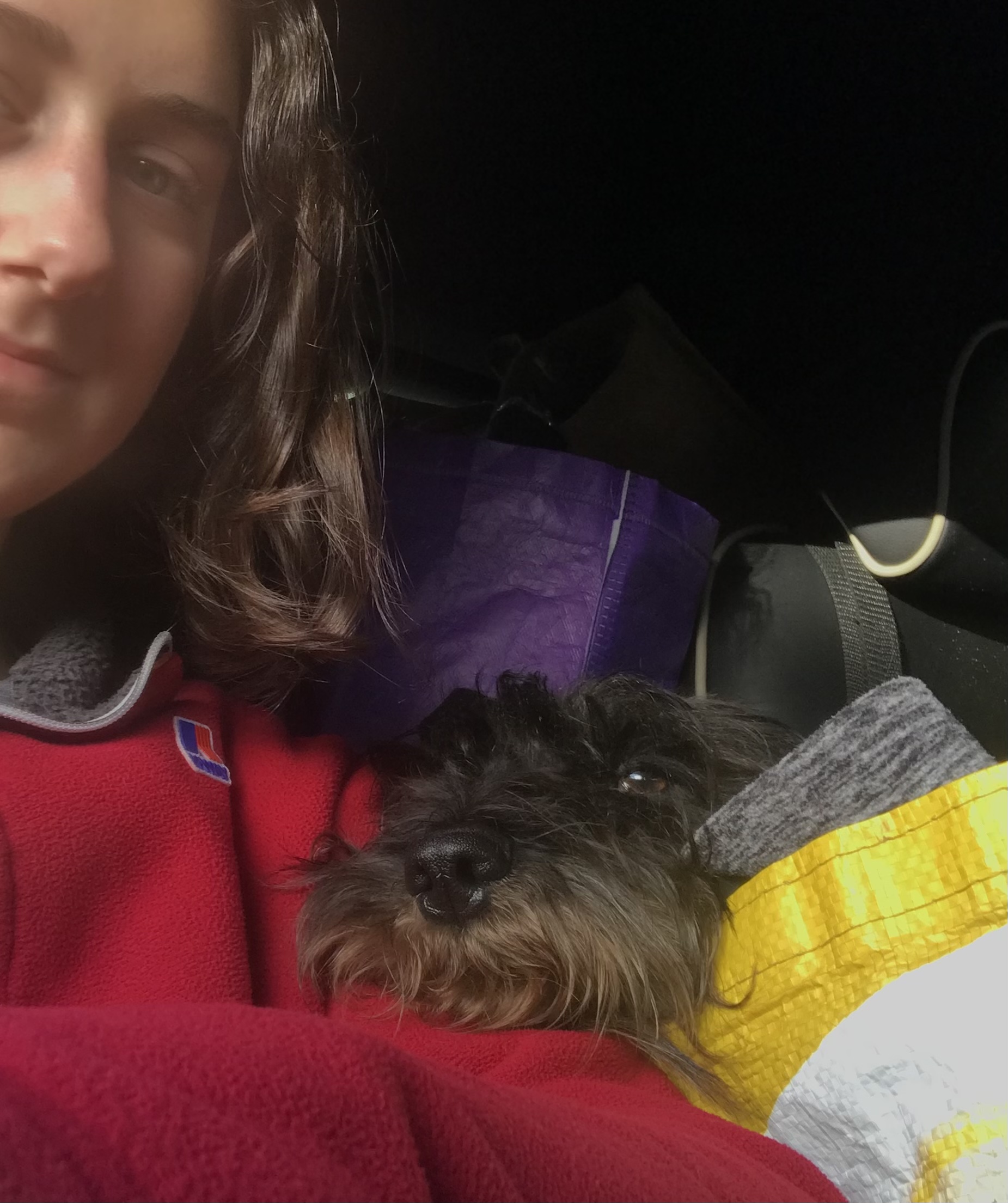 image-10