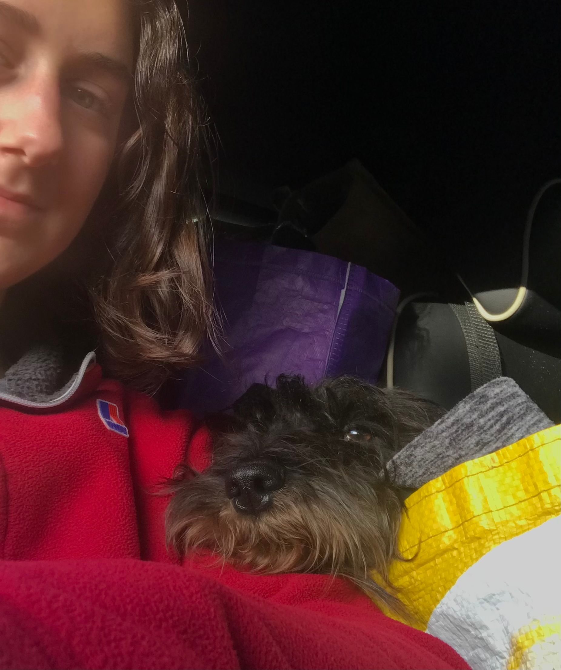 image-10