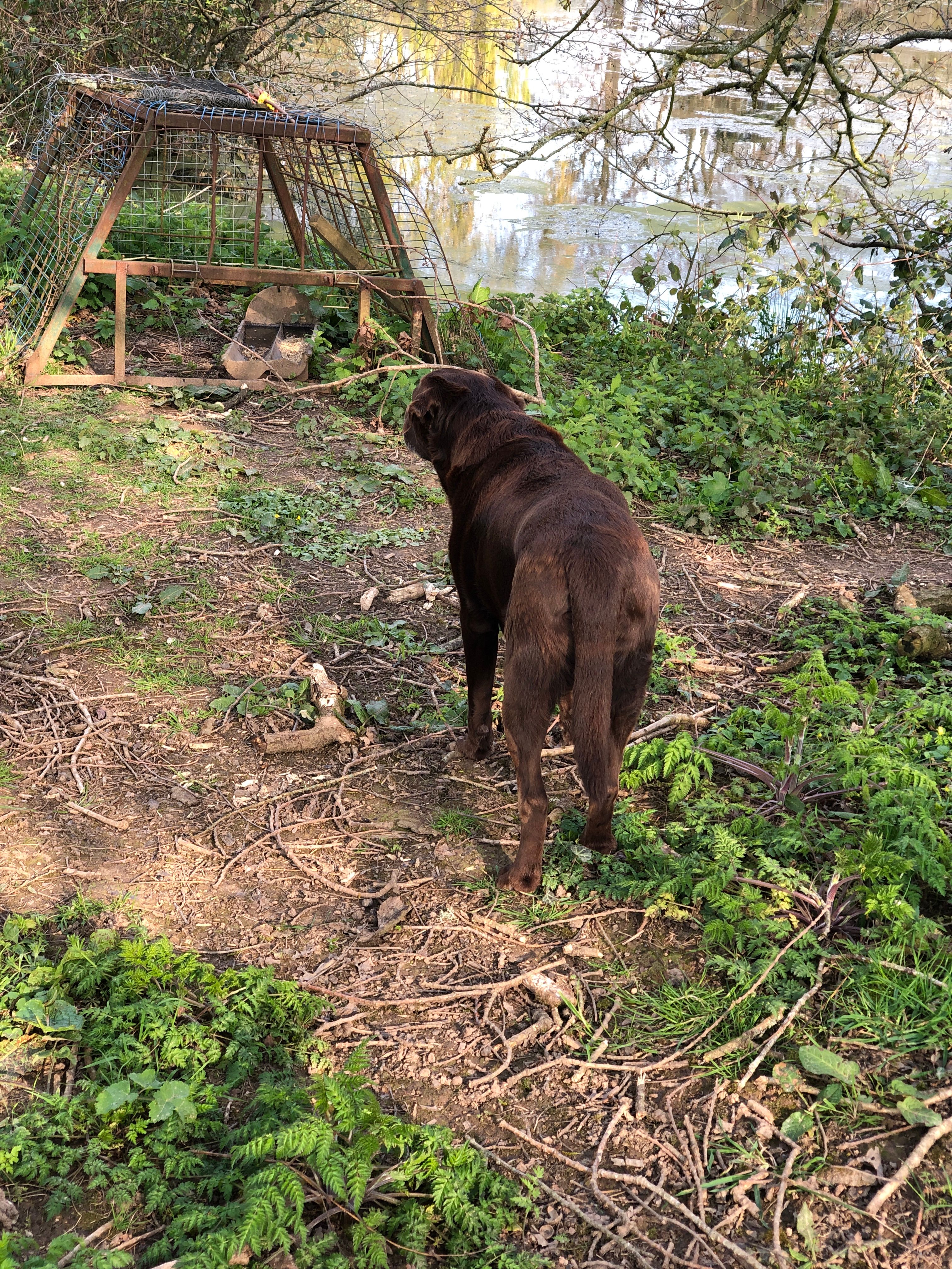 image-5