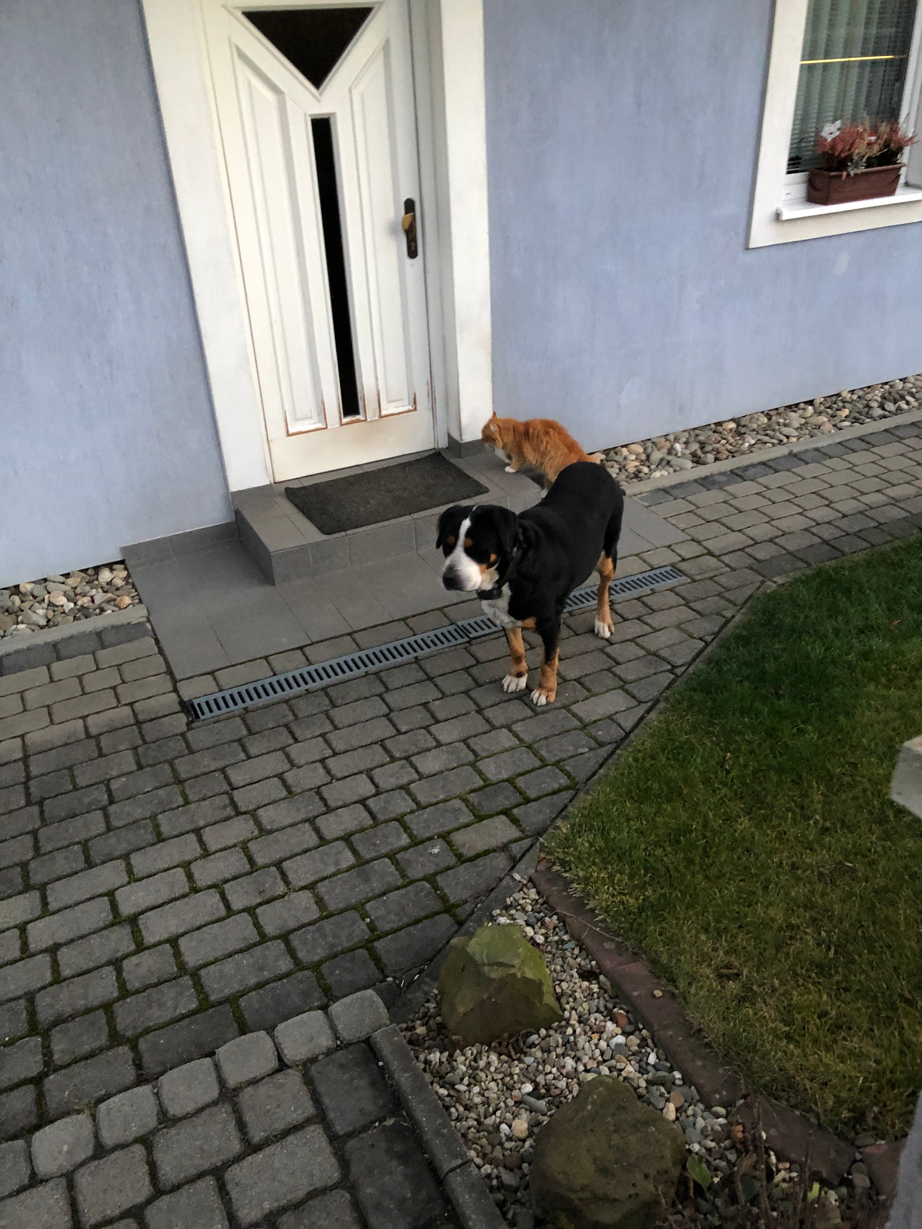 image-5
