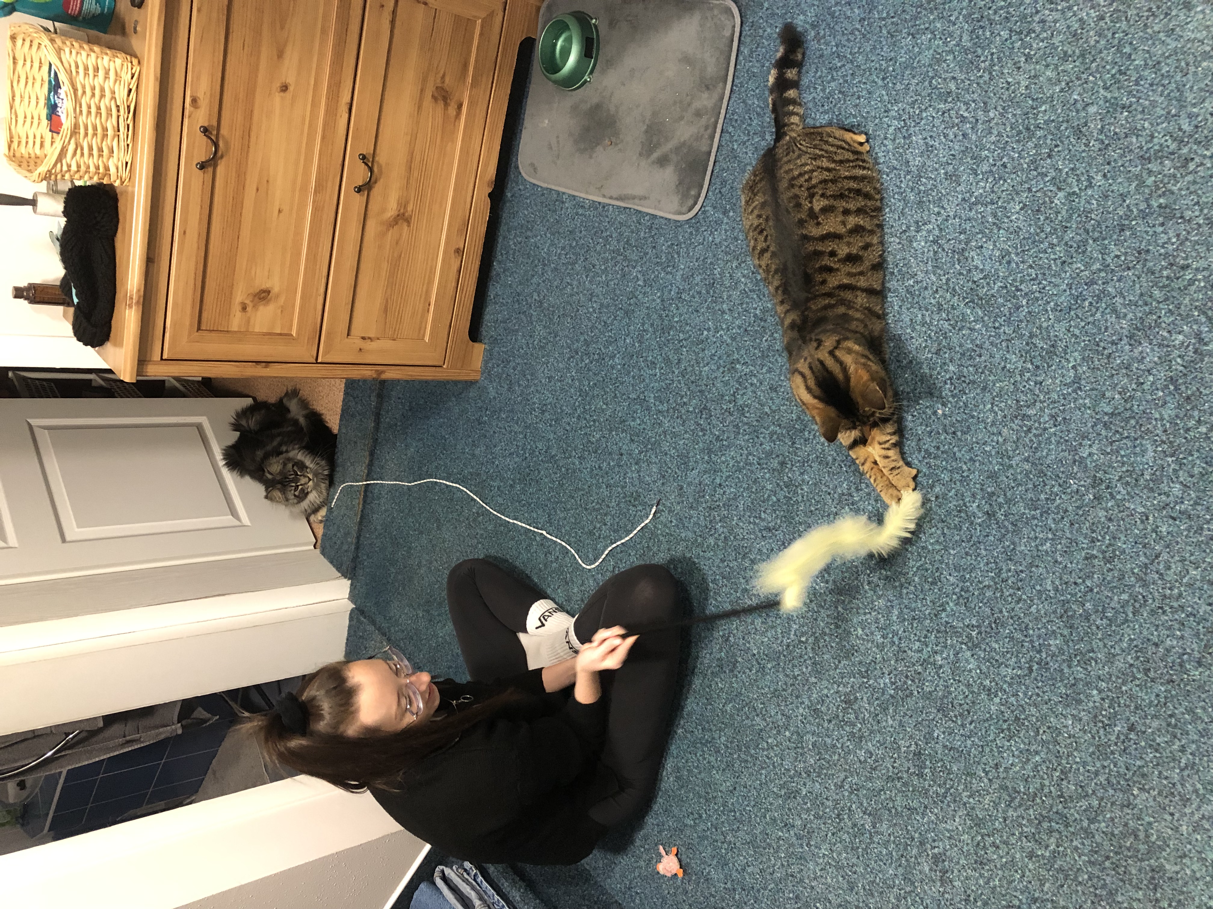 image-8