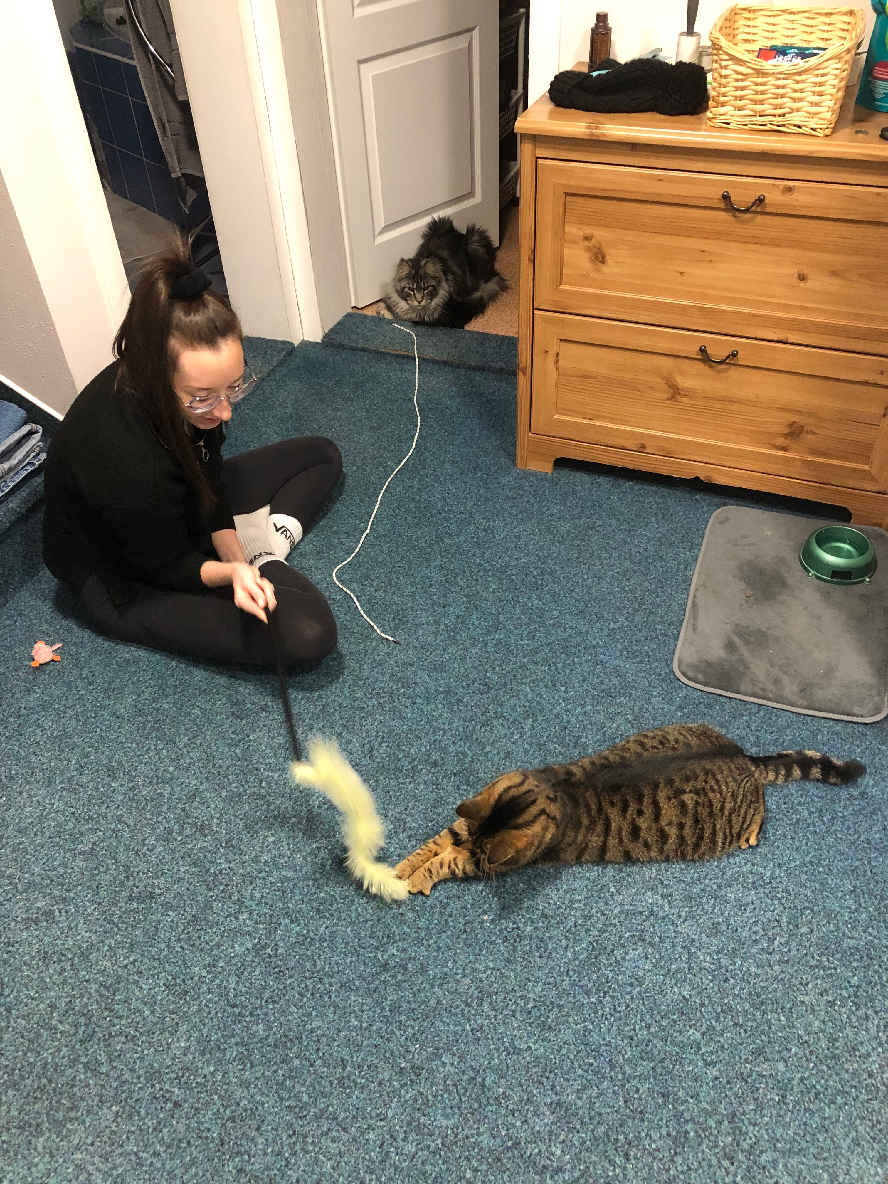 image-8